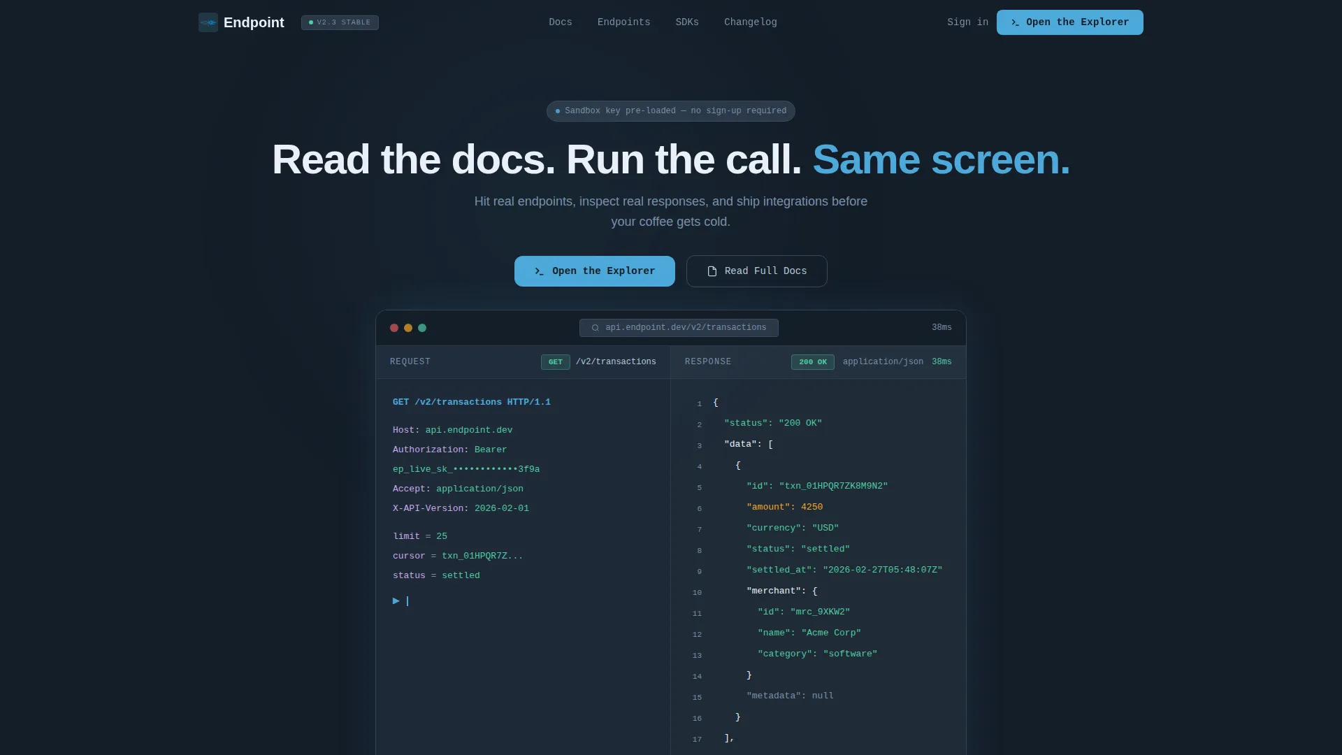 API Documentation Professional Website Template