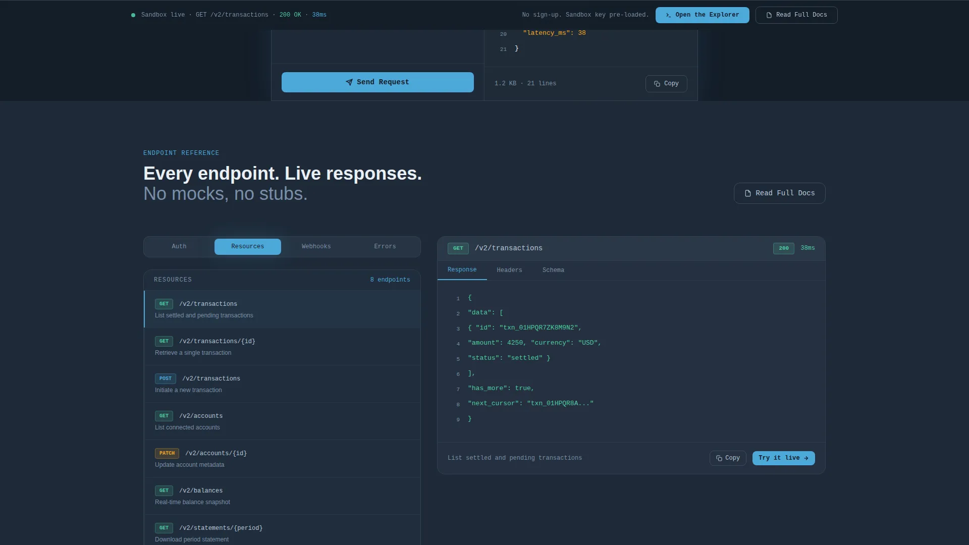 API Documentation Professional Website Template