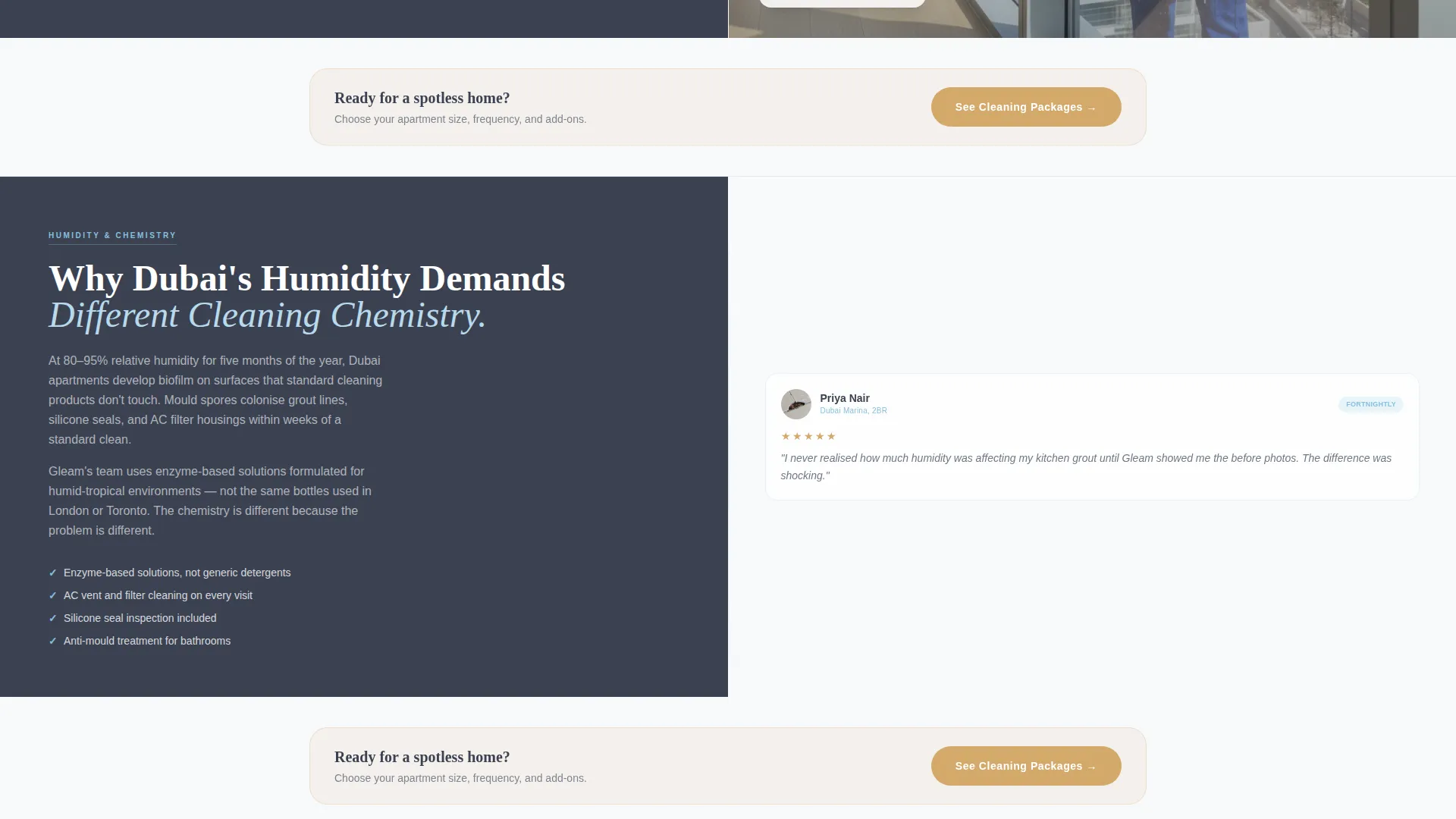 Spotless Dubaicleaning | Free Website Template | Rocket
