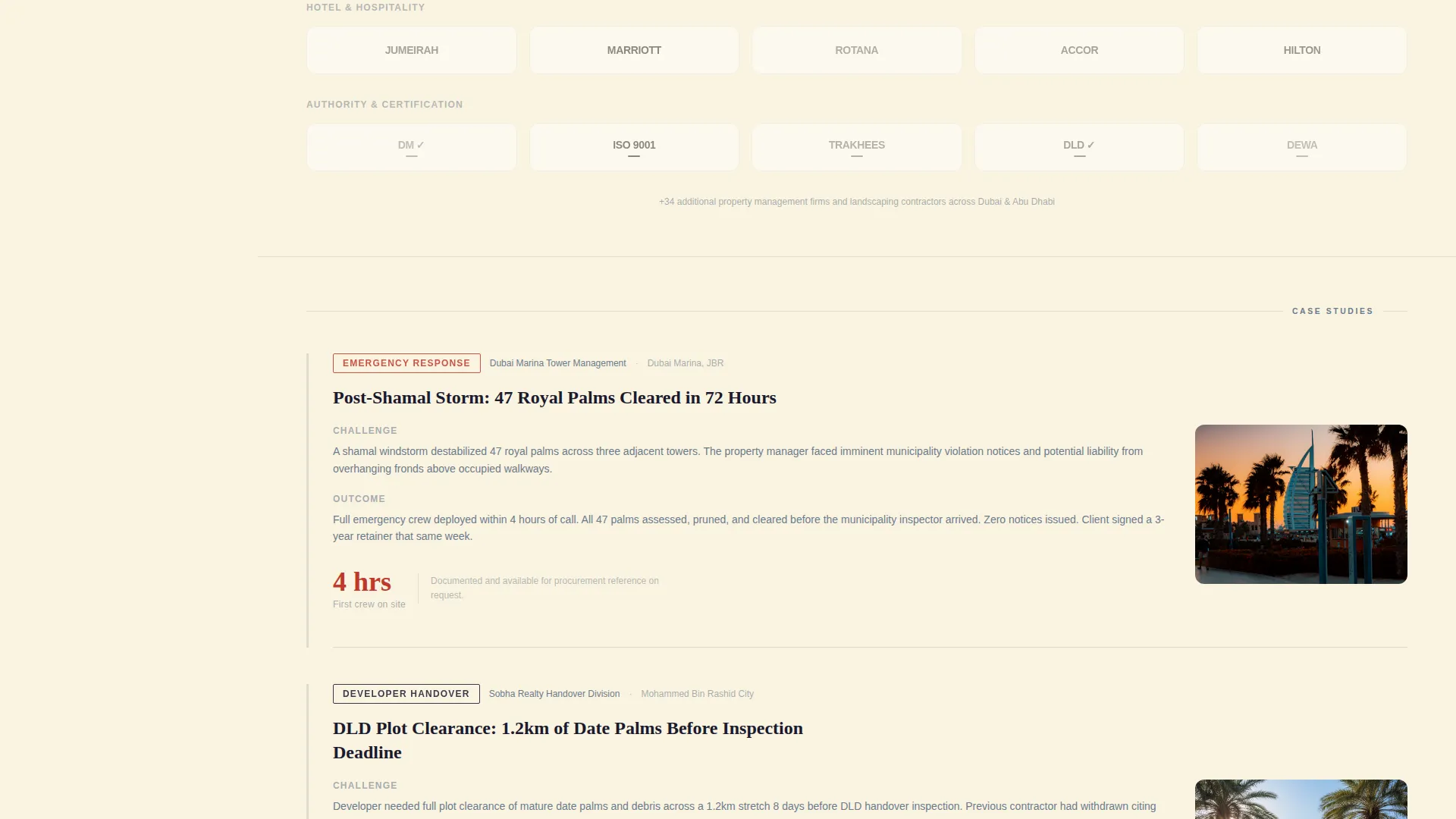 Certified Tree Removal | Free Website Template | Rocket
