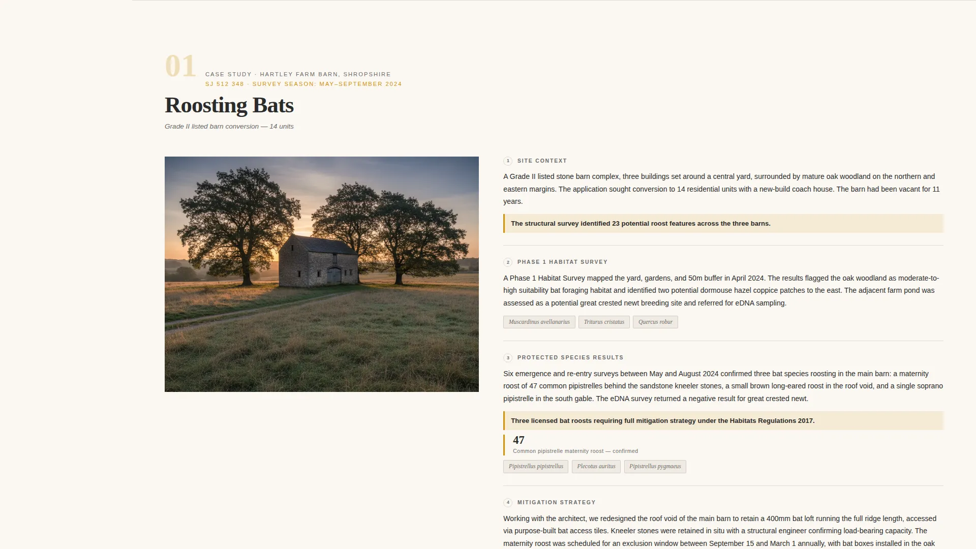 Ecological Survey Consultancy Landing Page Template
