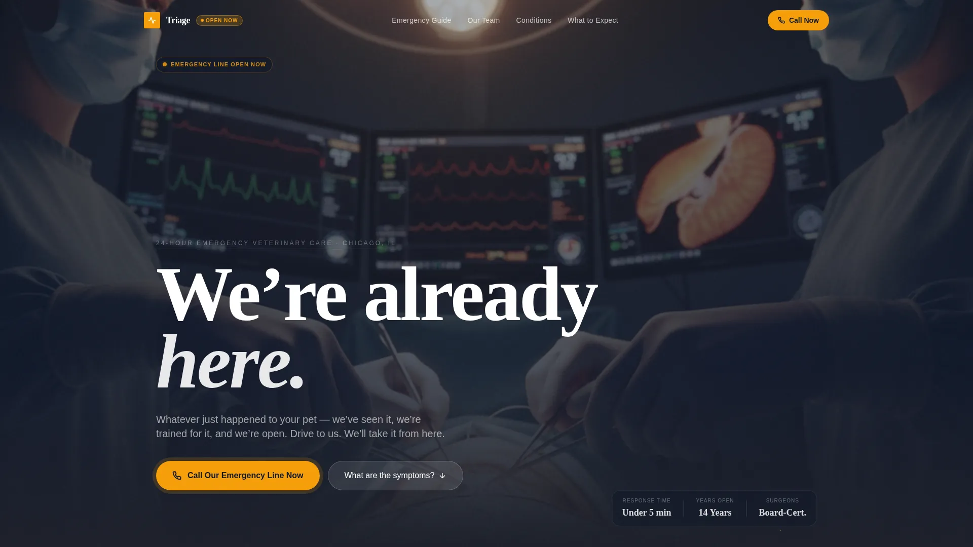 24/7 Emergency Vet Clinic Landing Page Template