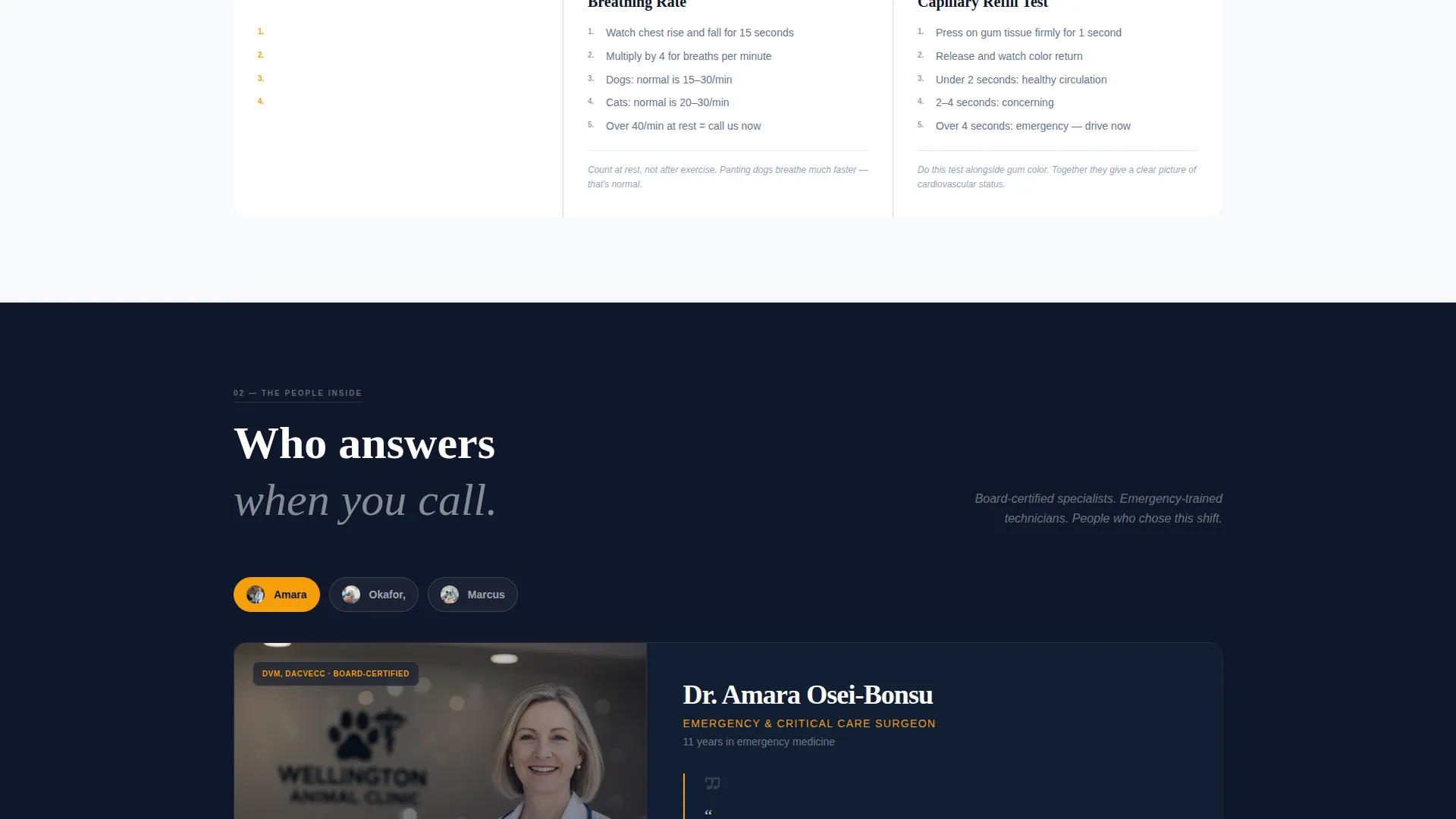 24/7 Emergency Vet Clinic Landing Page Template