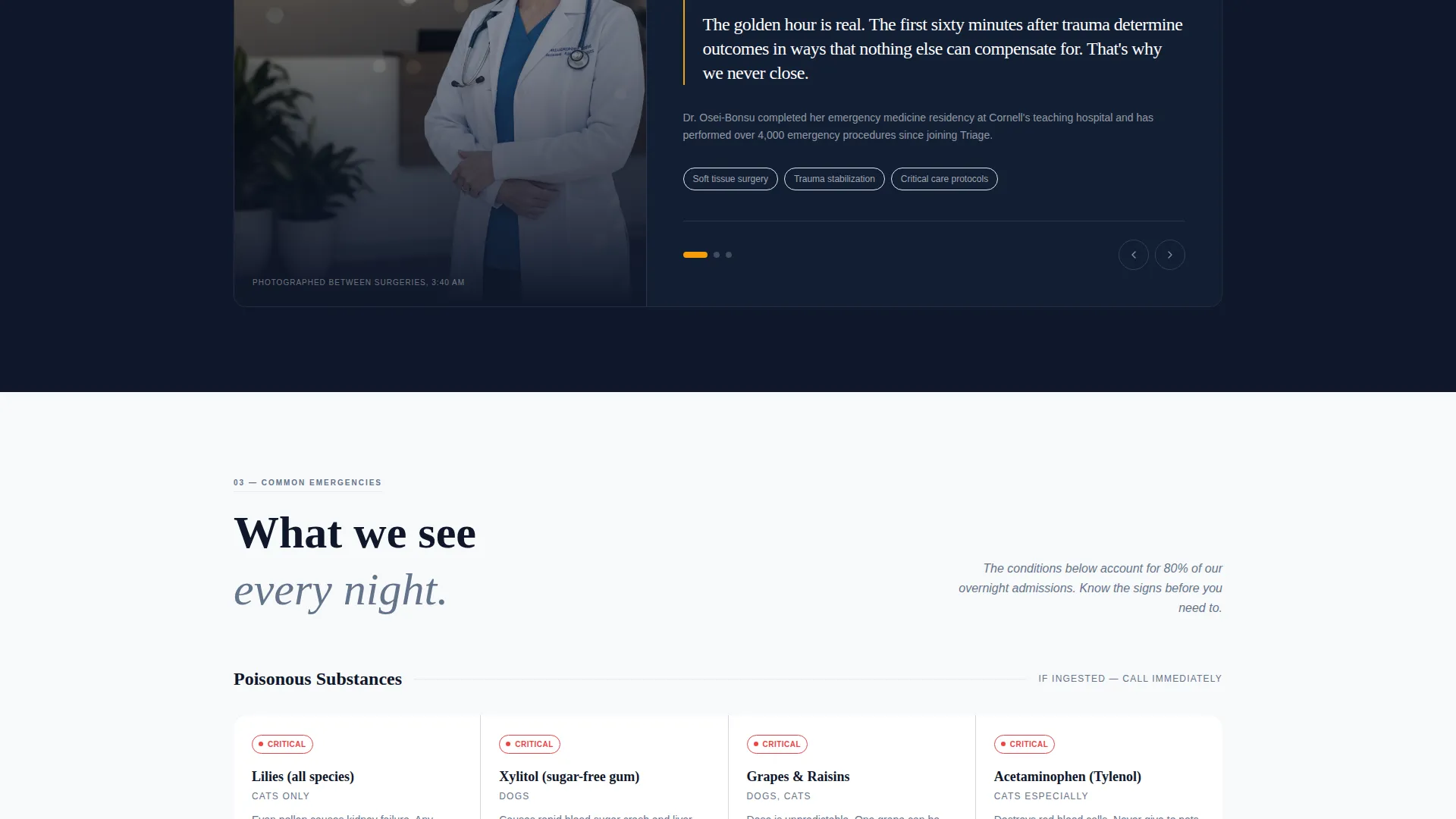 24/7 Emergency Vet Clinic Landing Page Template