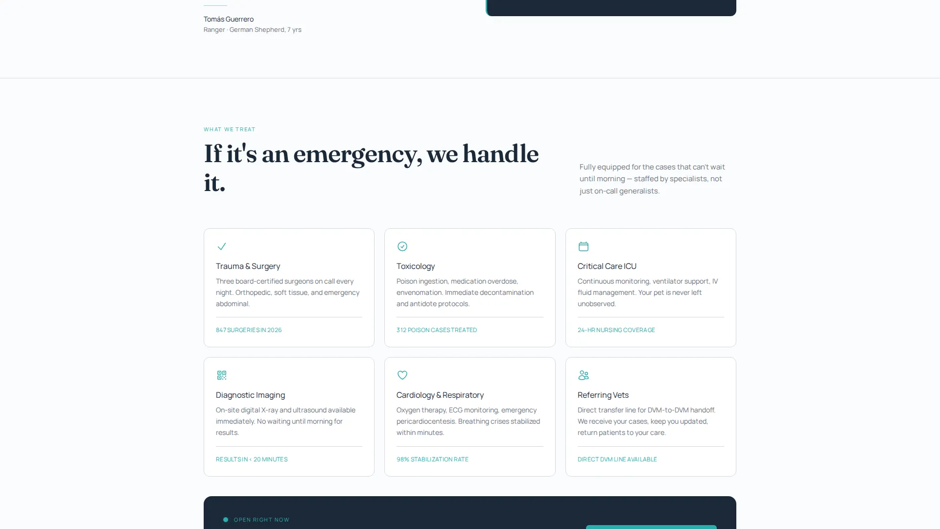 Urgent Animal Care Landing Page Template