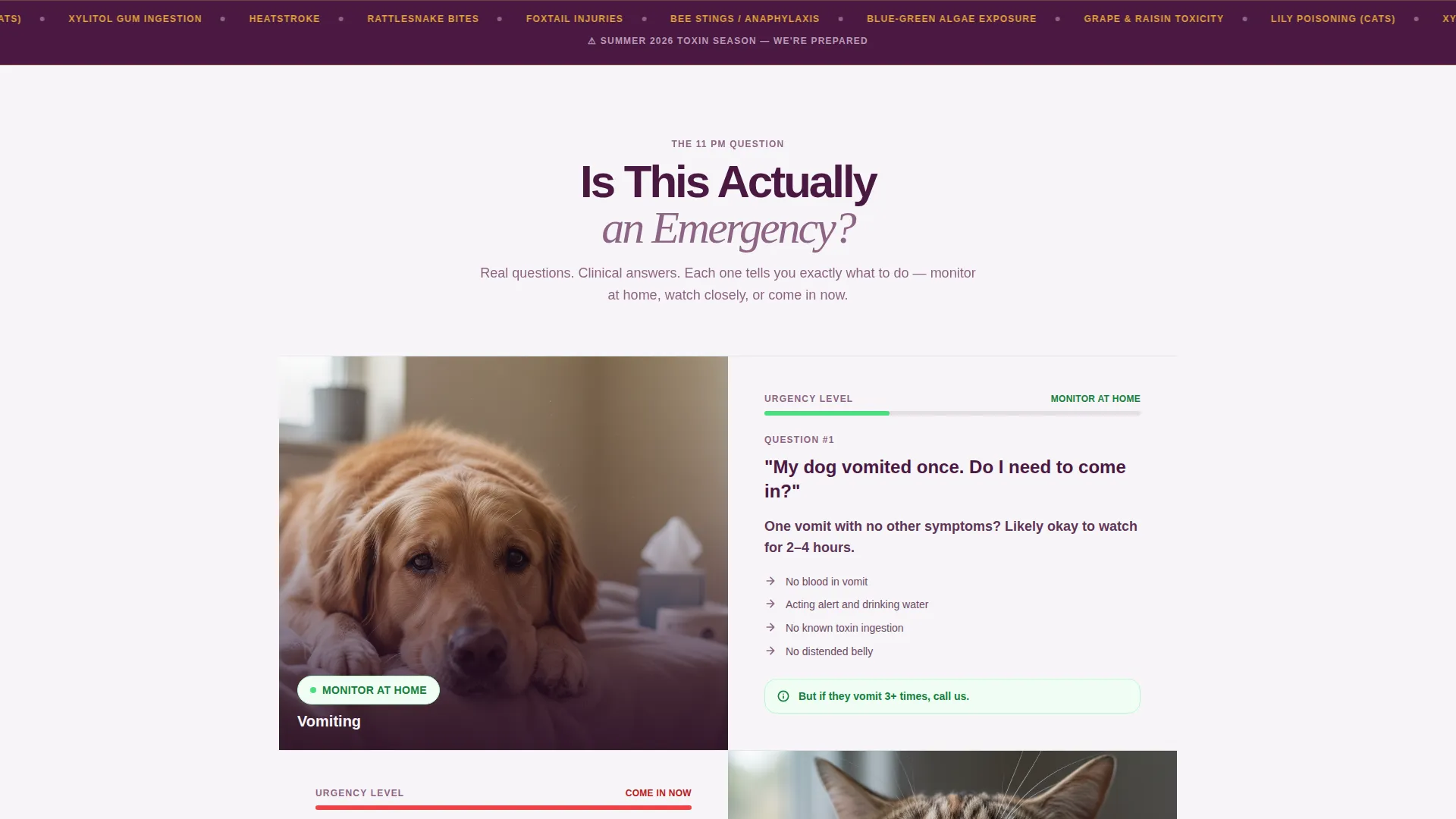 Emergency Vet Booking Landing Page Template