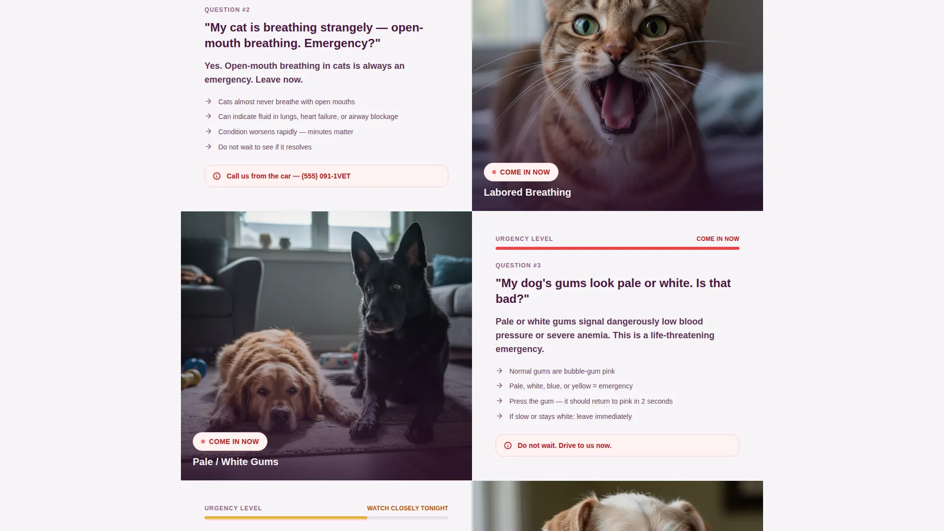 Emergency Vet Booking Landing Page Template
