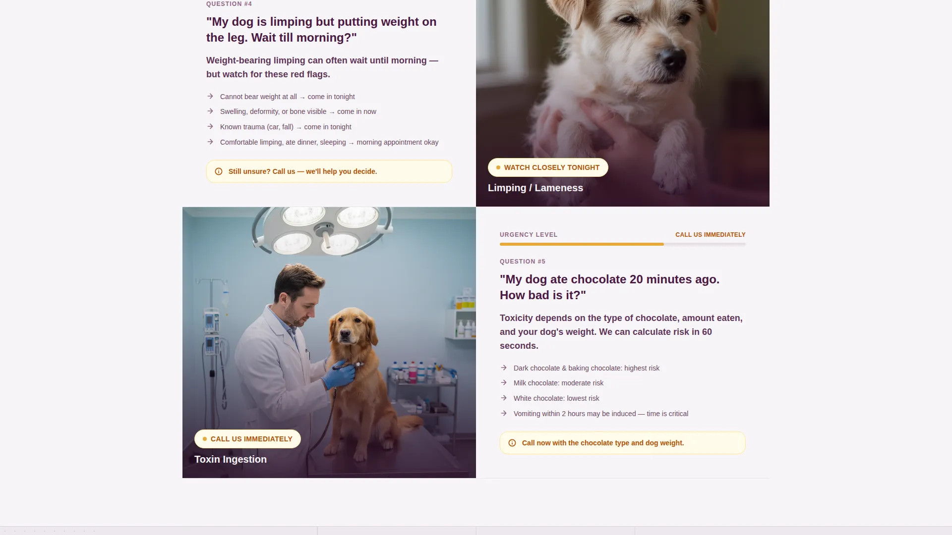 Emergency Vet Booking Landing Page Template