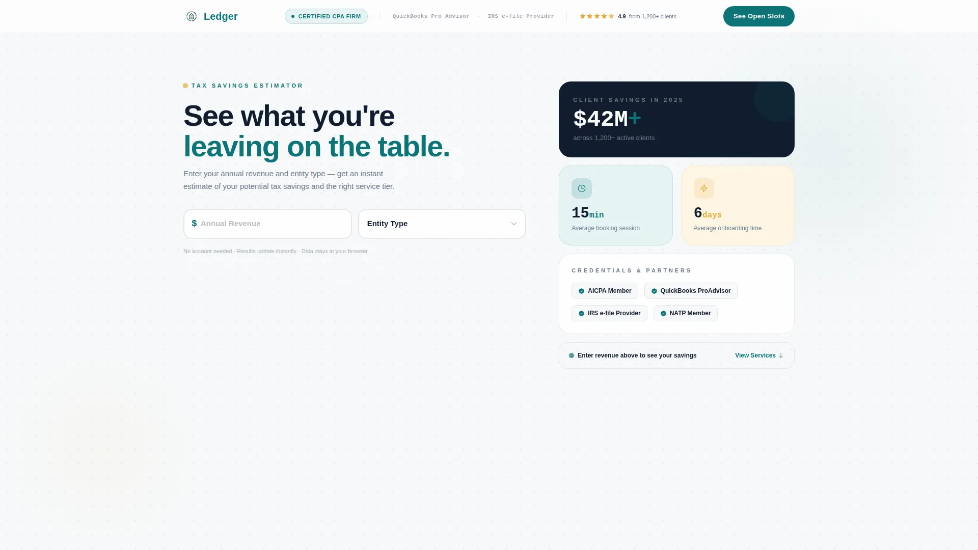 Accounting Firm Software Specialist Booking Website Template