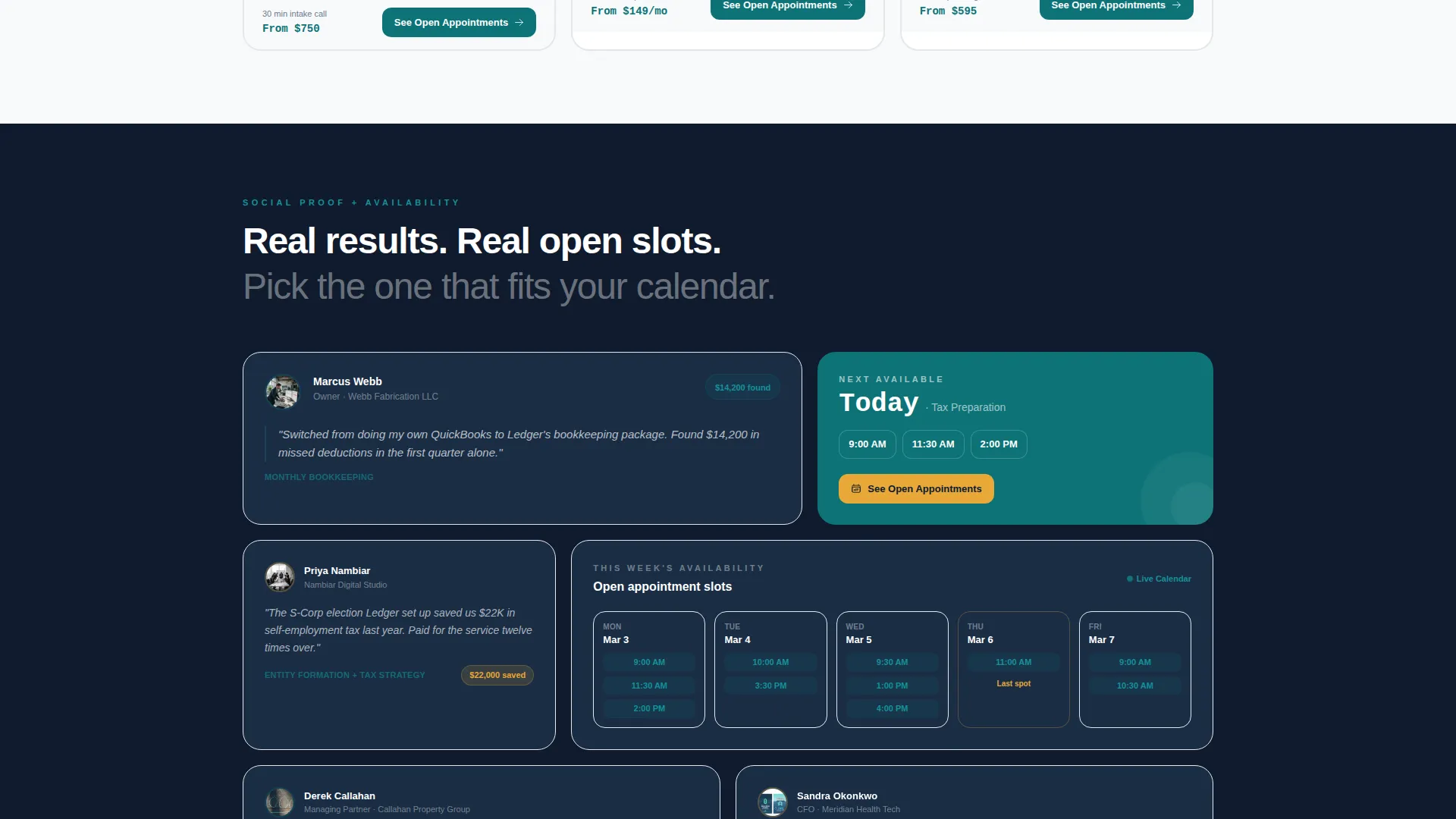 Accounting Firm Software Specialist Booking Website Template