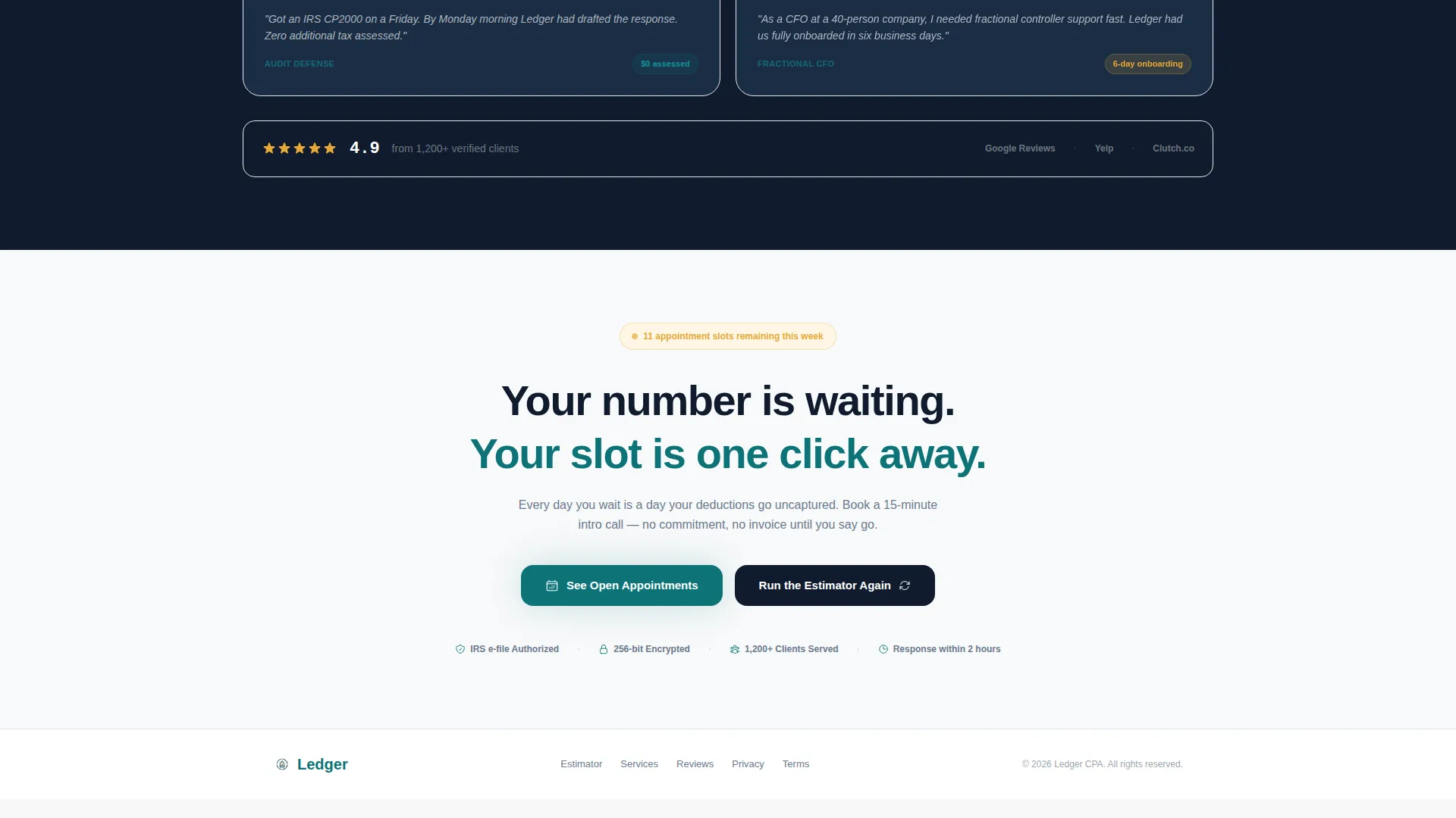 Accounting Firm Software Specialist Booking Website Template