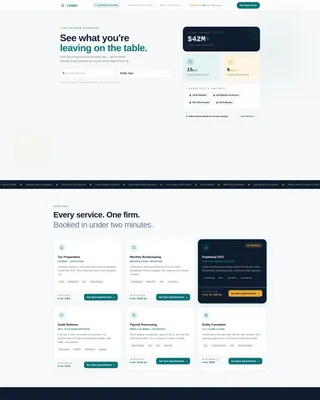 Accounting Firm Software Specialist Booking Website Template