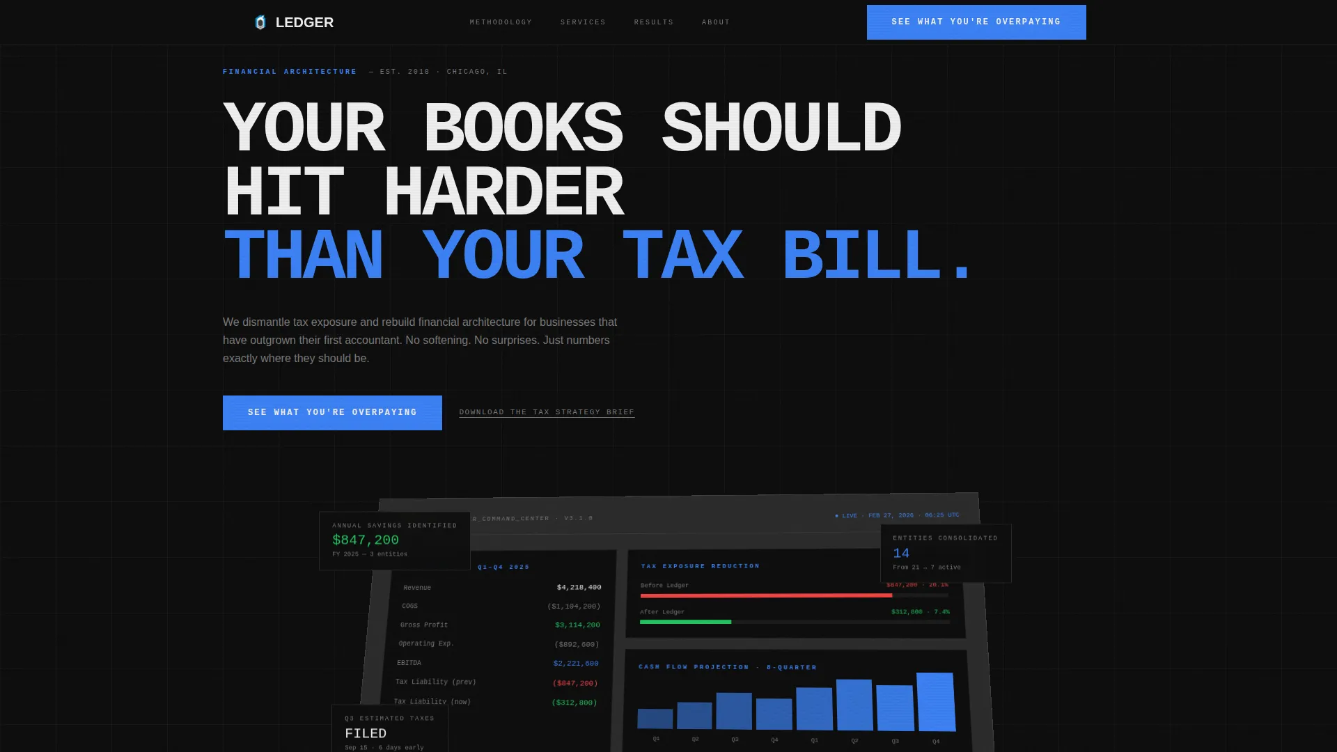 Brutalist Accounting Firm Landing Page Template
