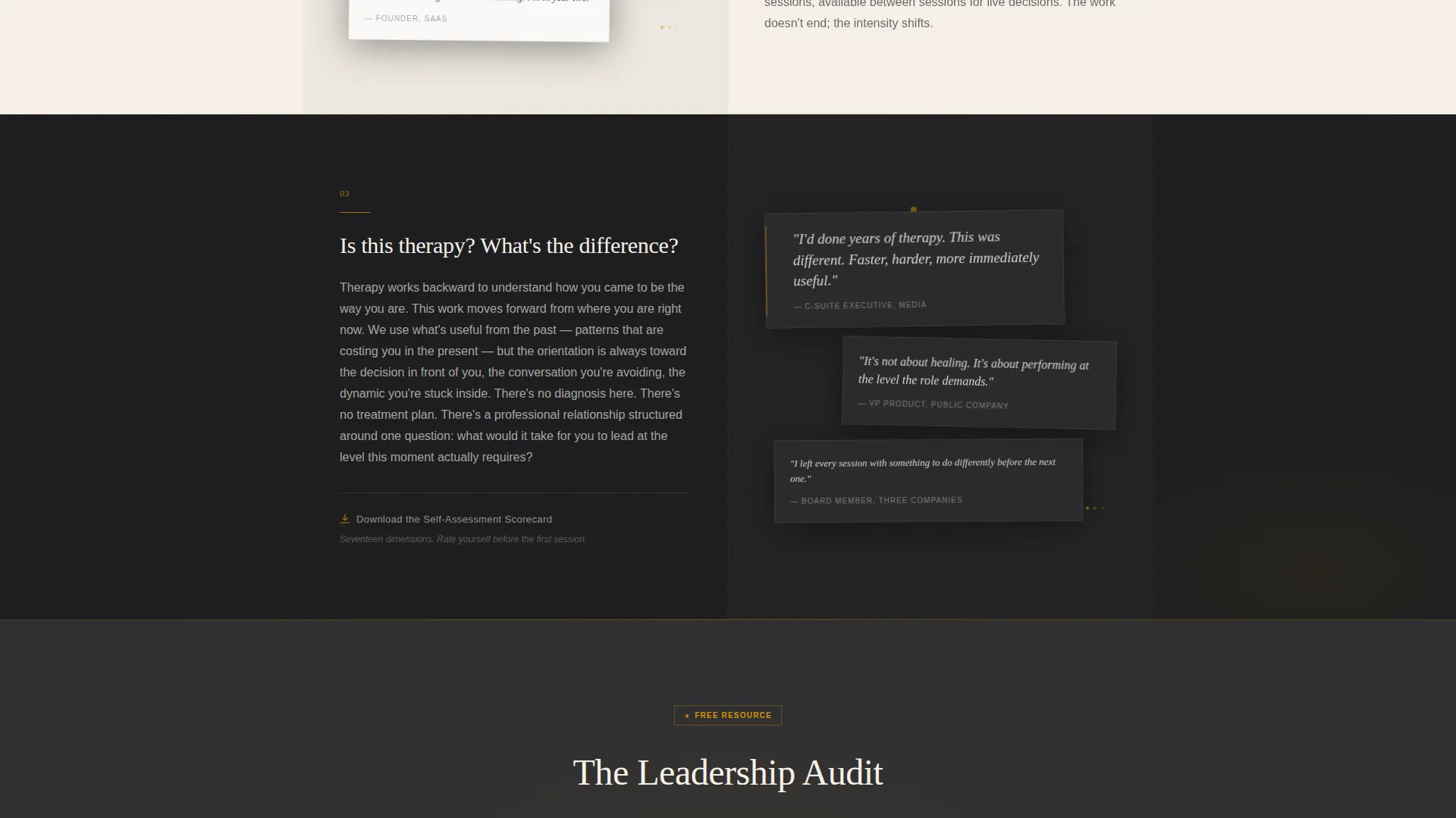 Executive Coach FAQ Website Template