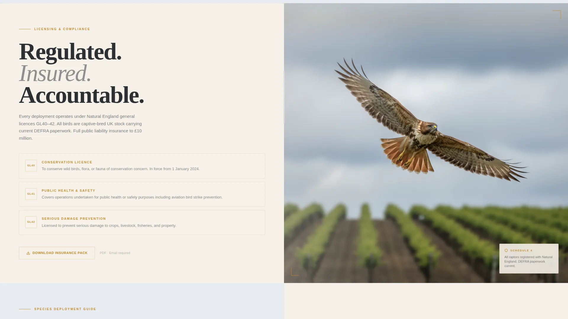 Falconer Booking Website Template