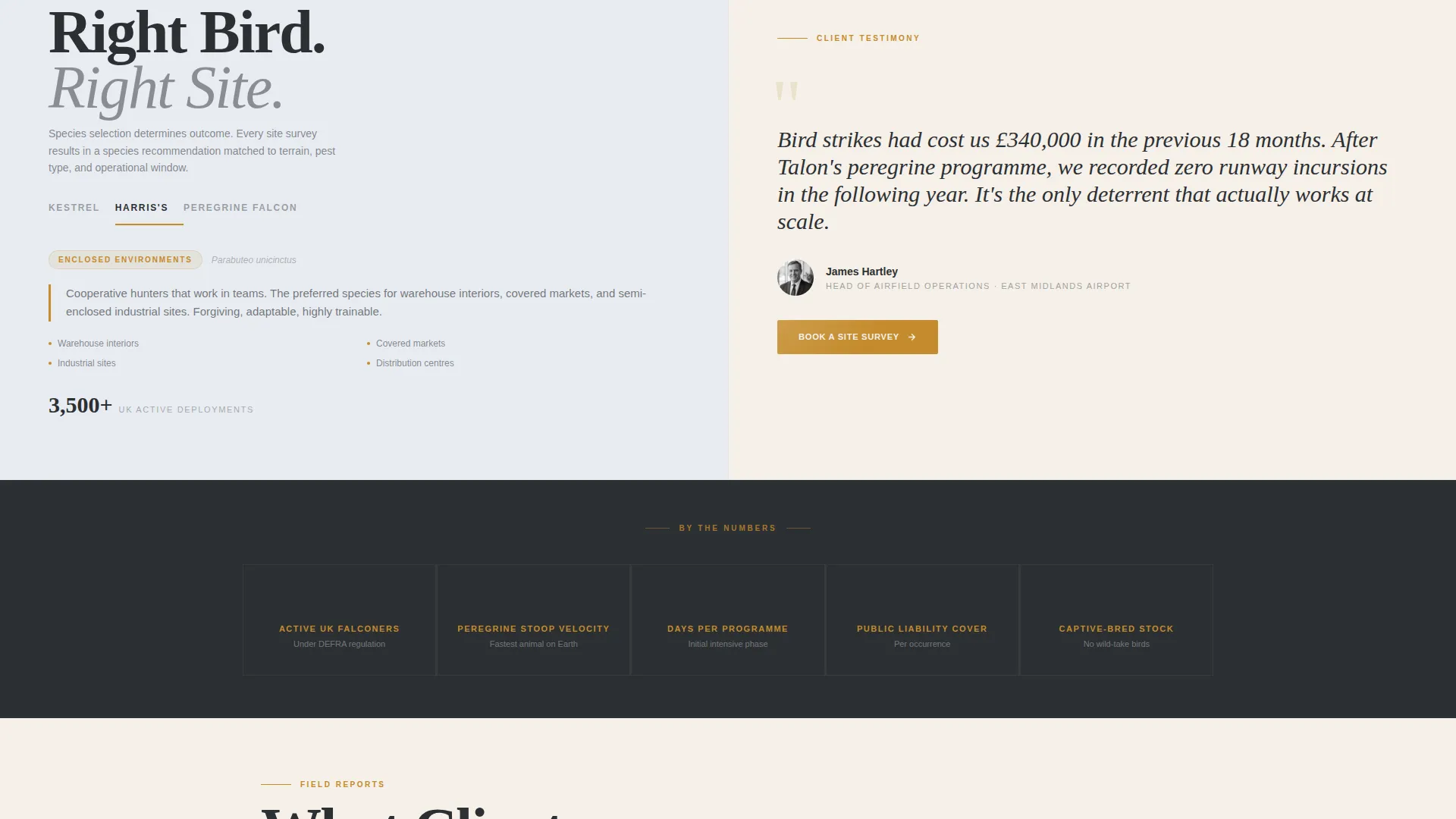Falconer Booking Website Template