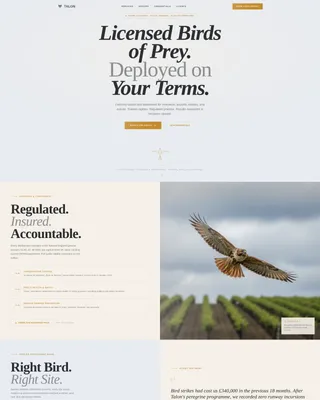Falconer Booking Website Template