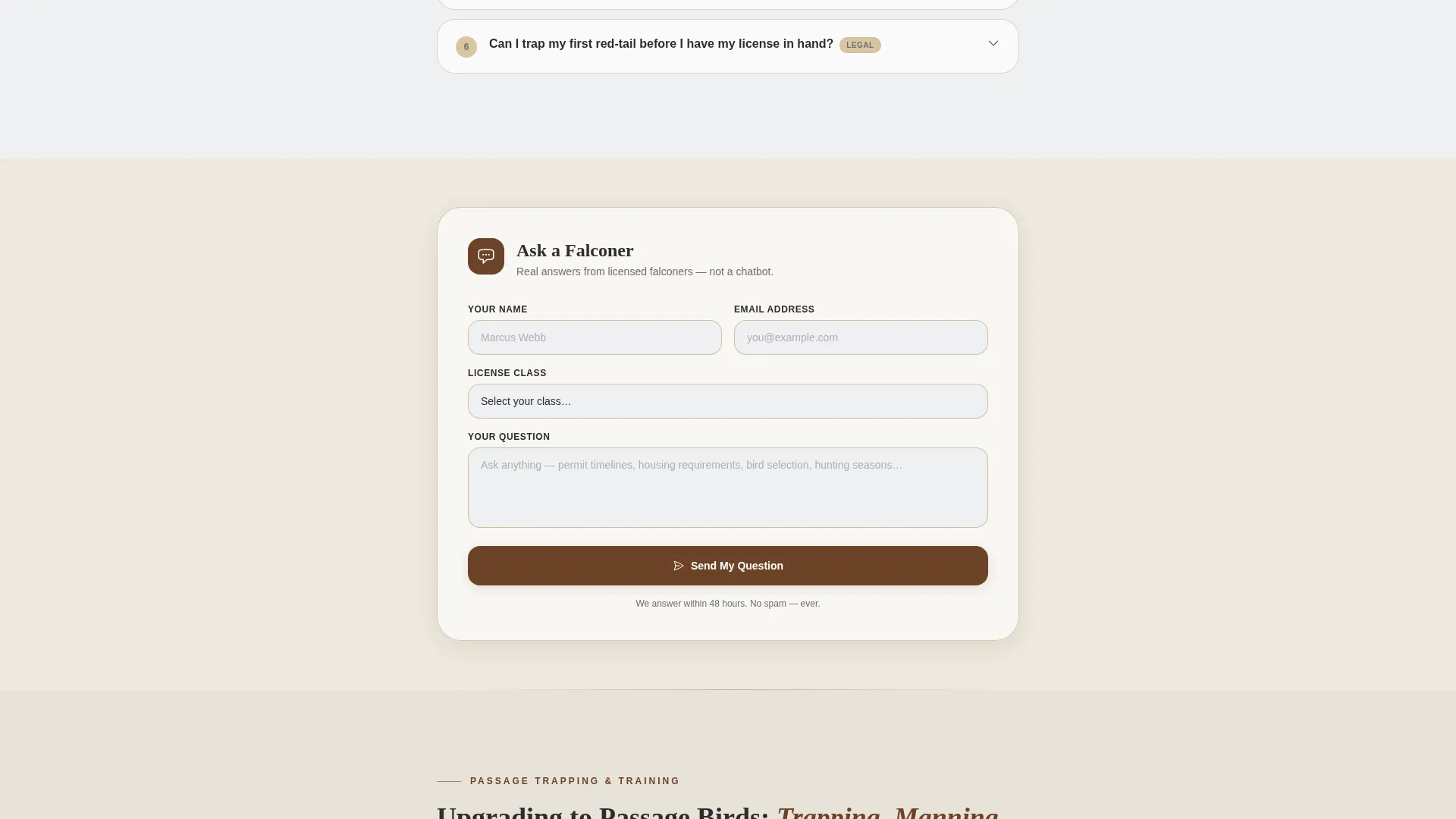 Falconer FAQ Website Template