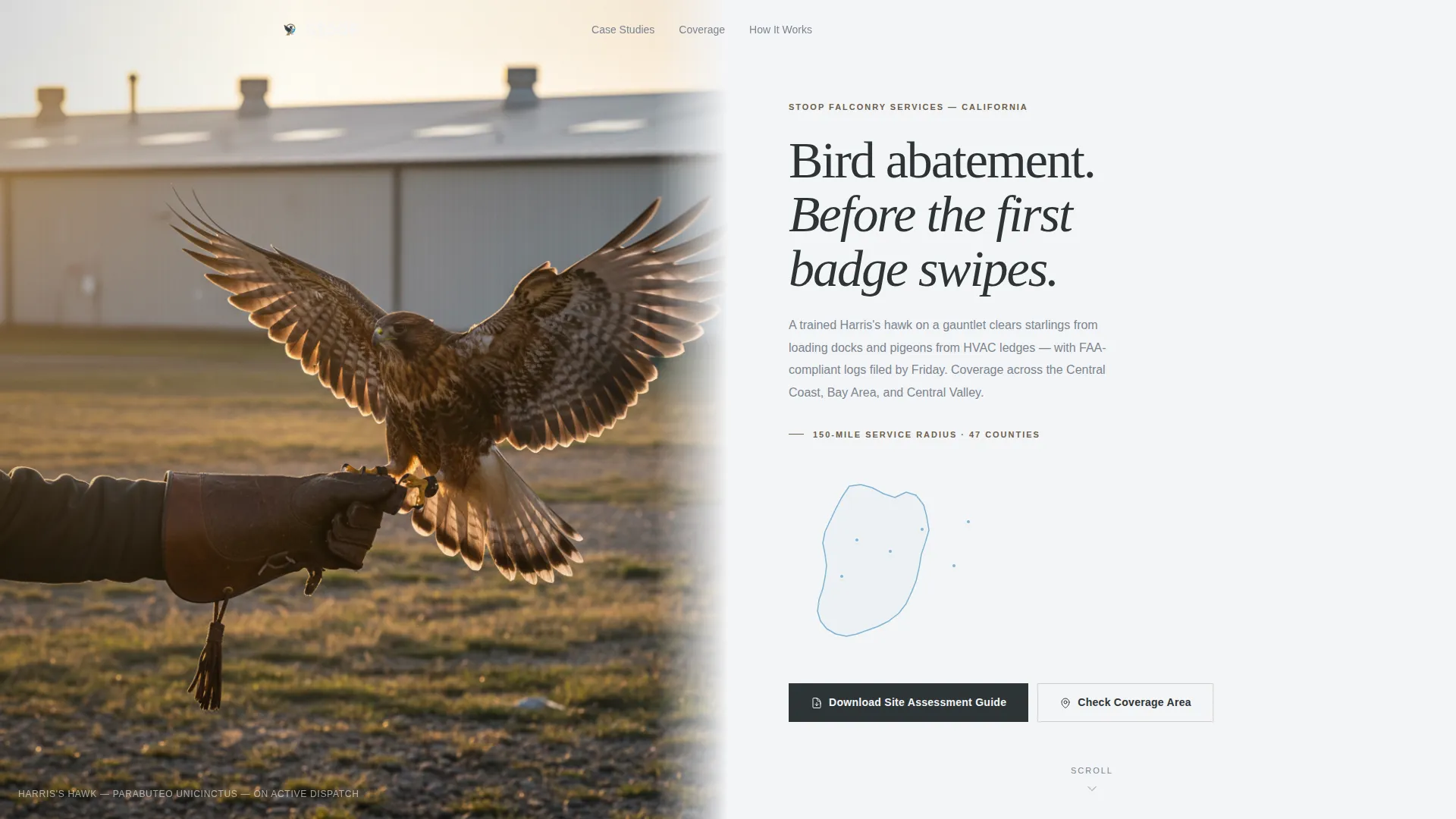 Falconer Directory Website Template