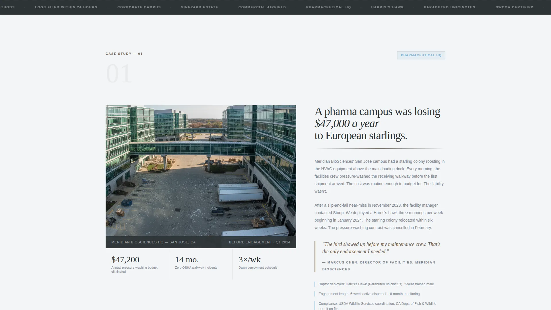 Falconer Directory Website Template