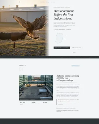 Falconer Directory Website Template