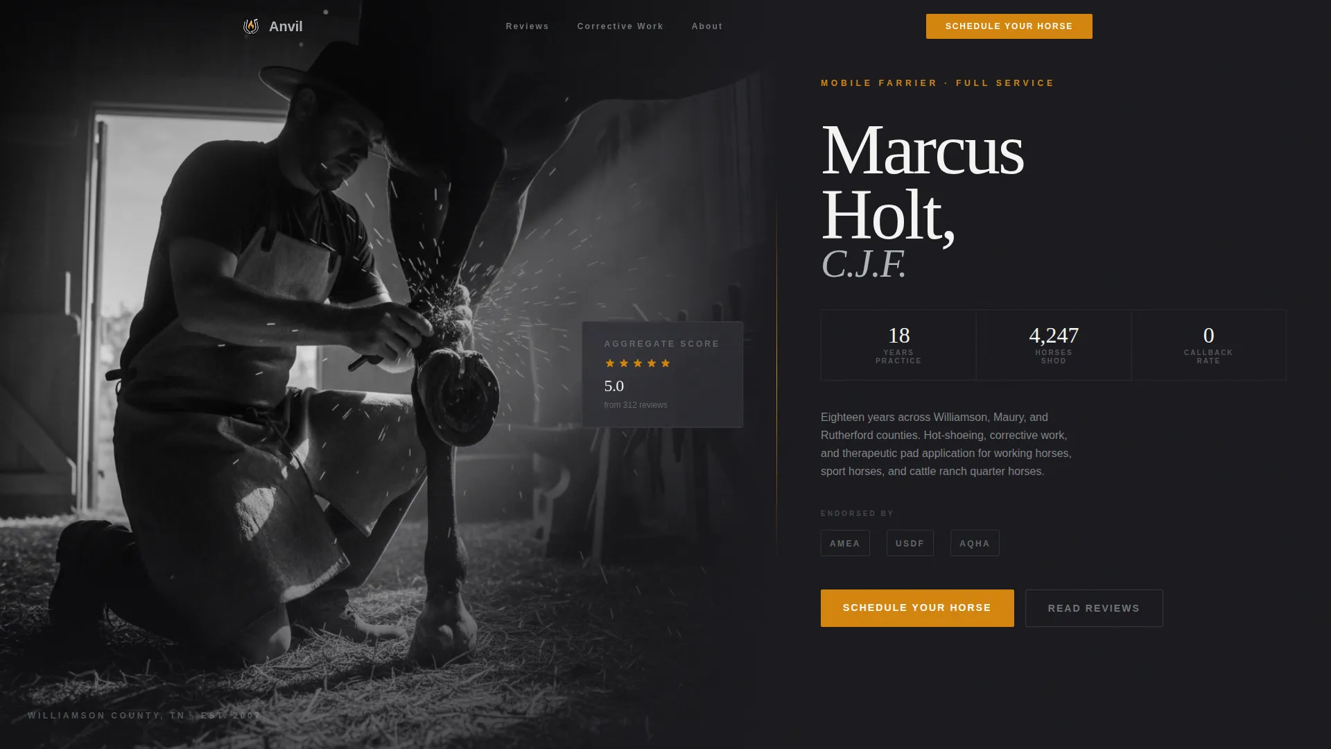 Skilled Farrier Services Landing Page Template