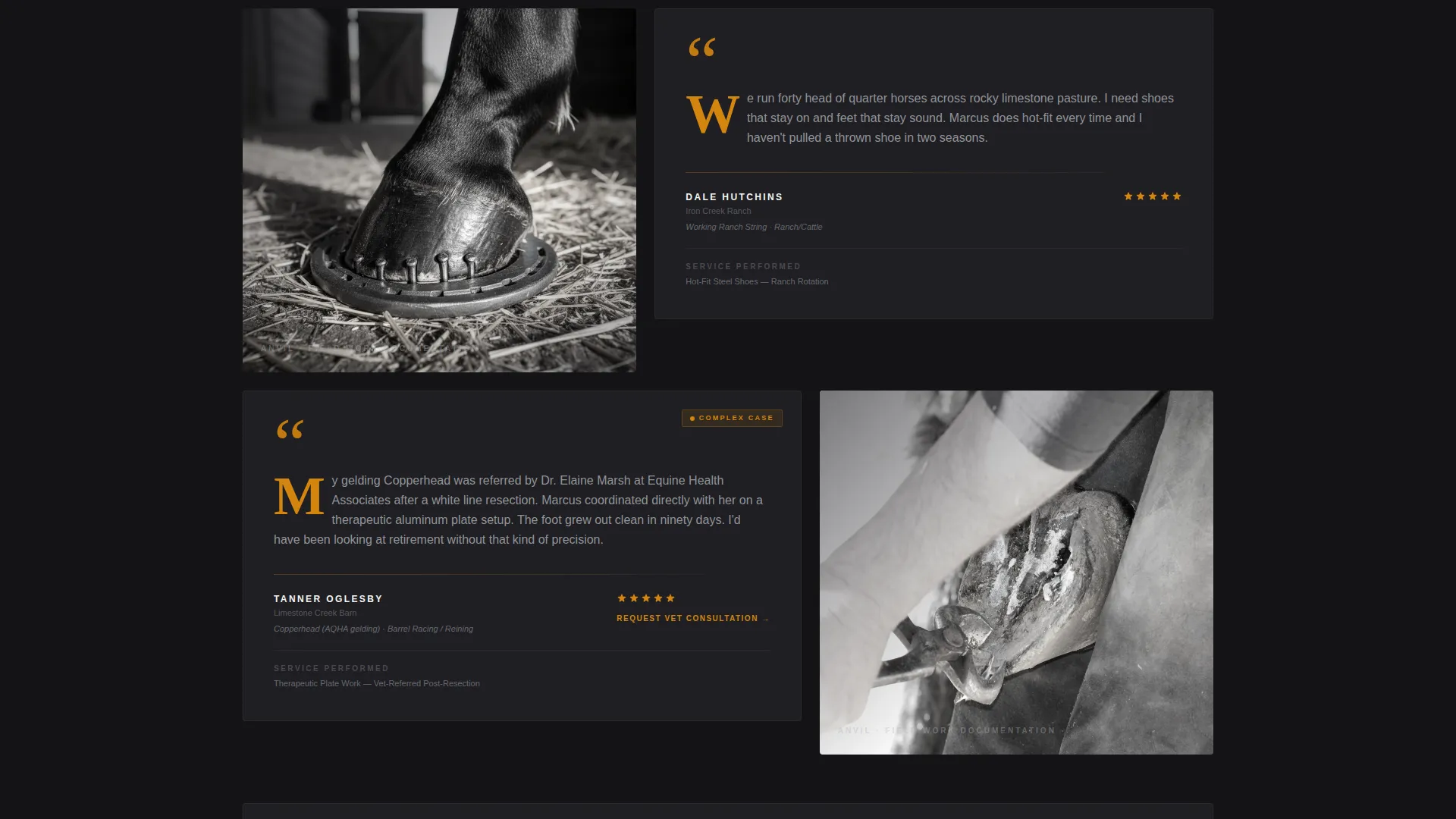 Skilled Farrier Services Landing Page Template