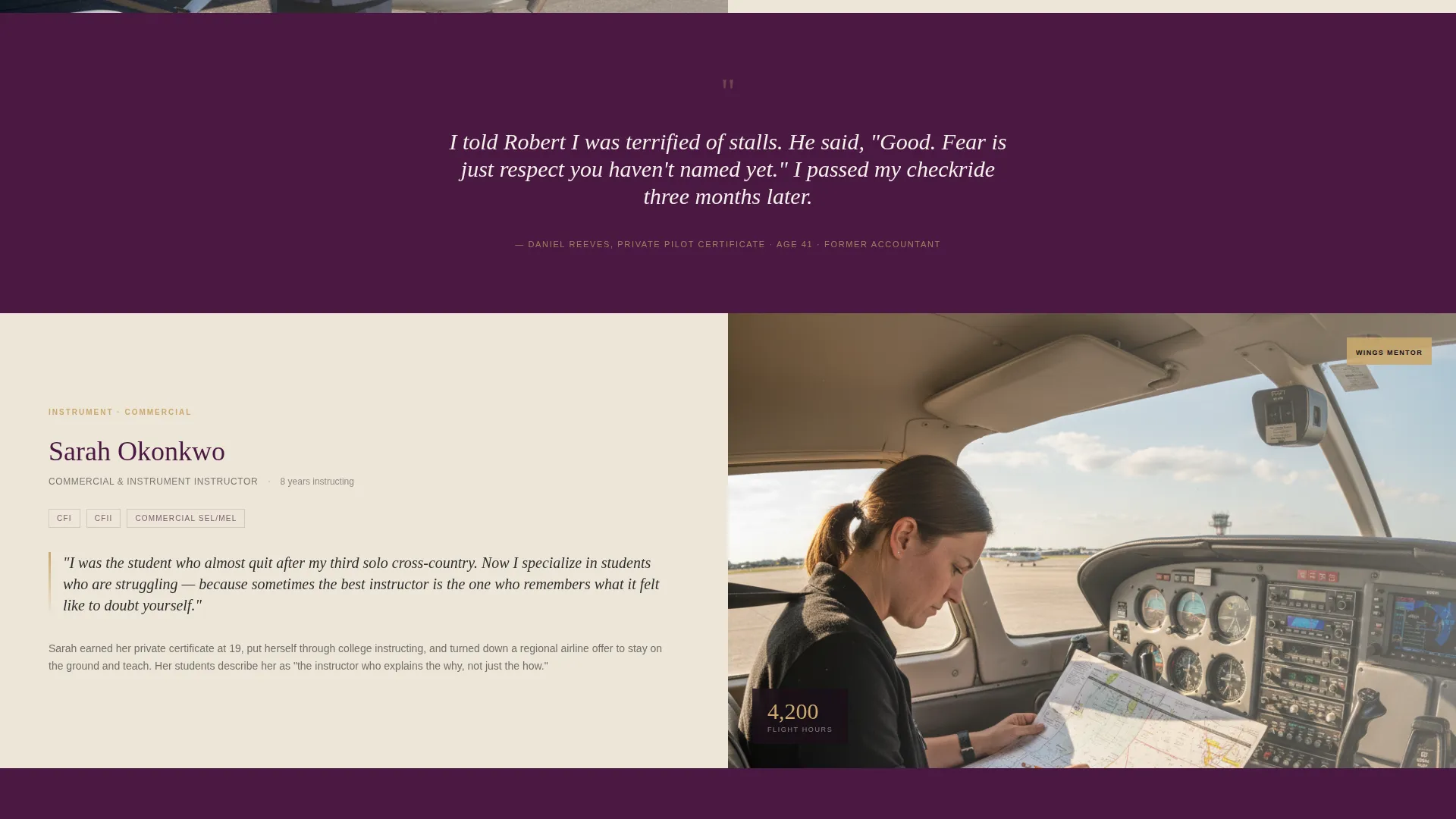 Flight School Marketing Reviews Website Template
