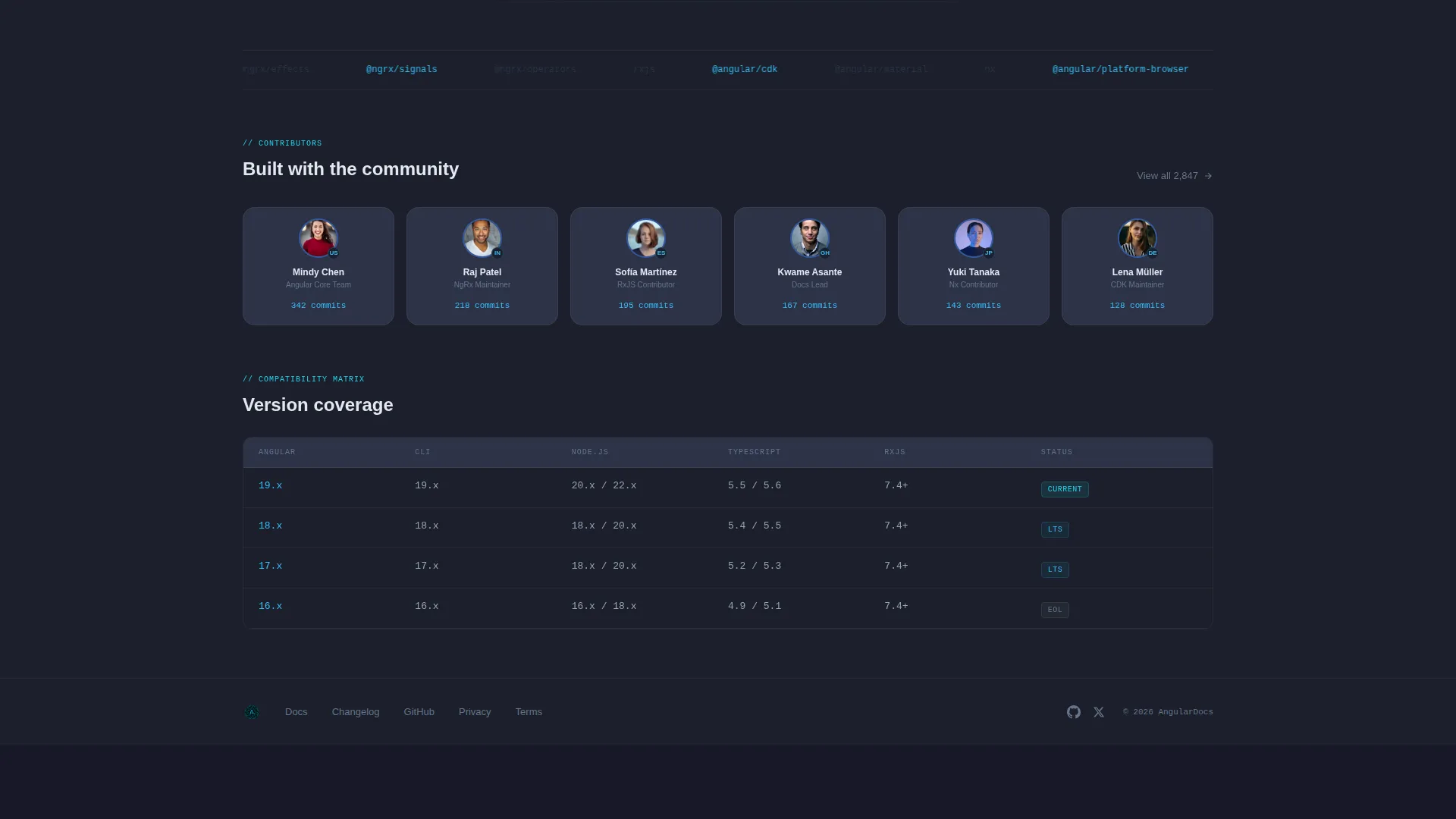 Developer Documentation Specialist Professional Website Template