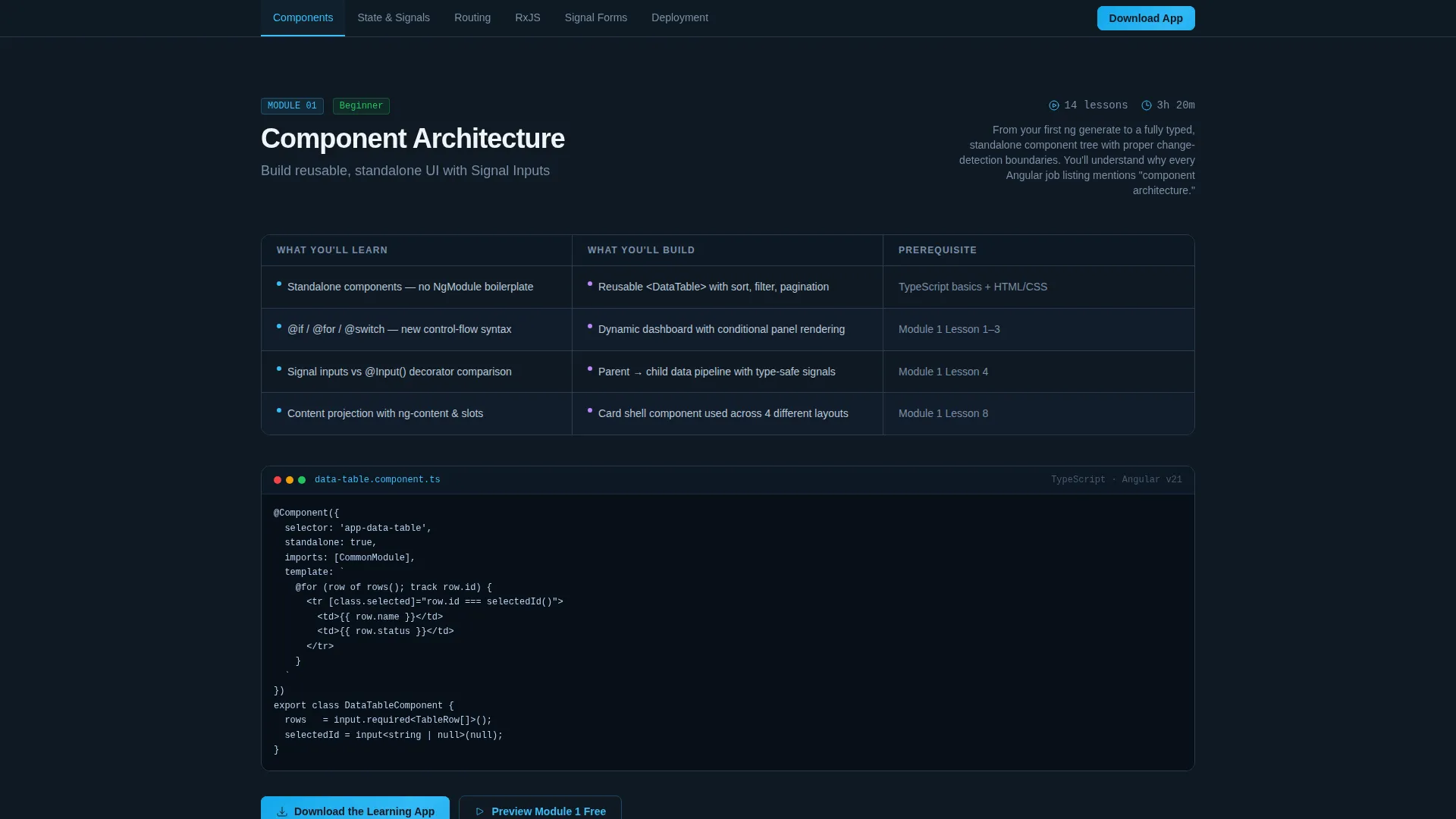 Developer Documentation Directory Website Template
