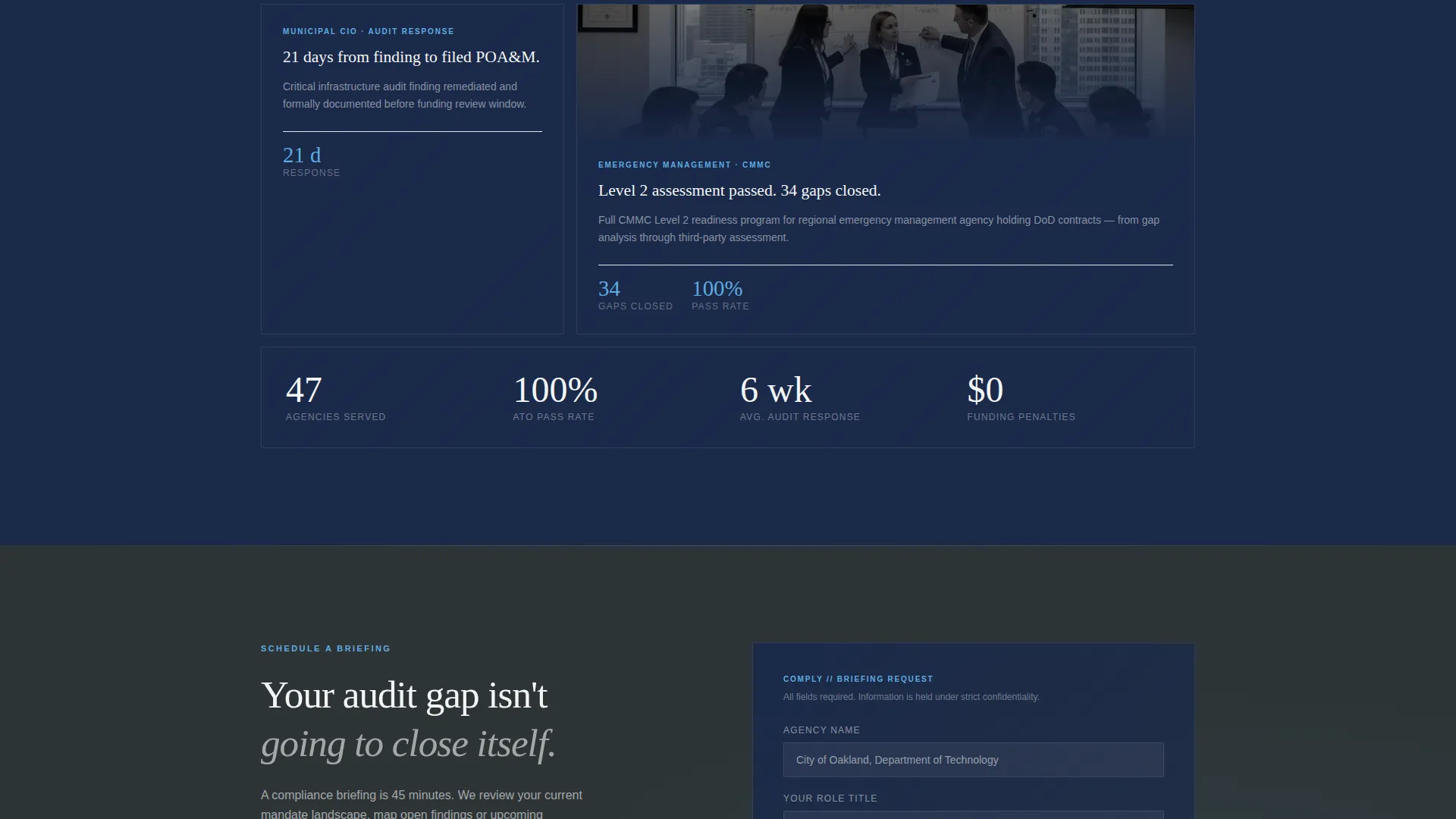 Government Technology Consultant Landing Page Template