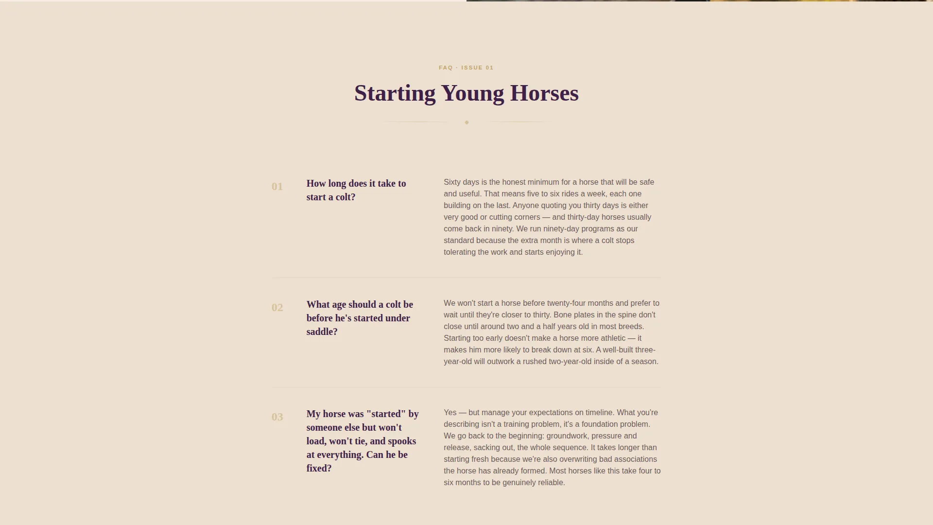 Editorial Horse Trainer Landing Page Template
