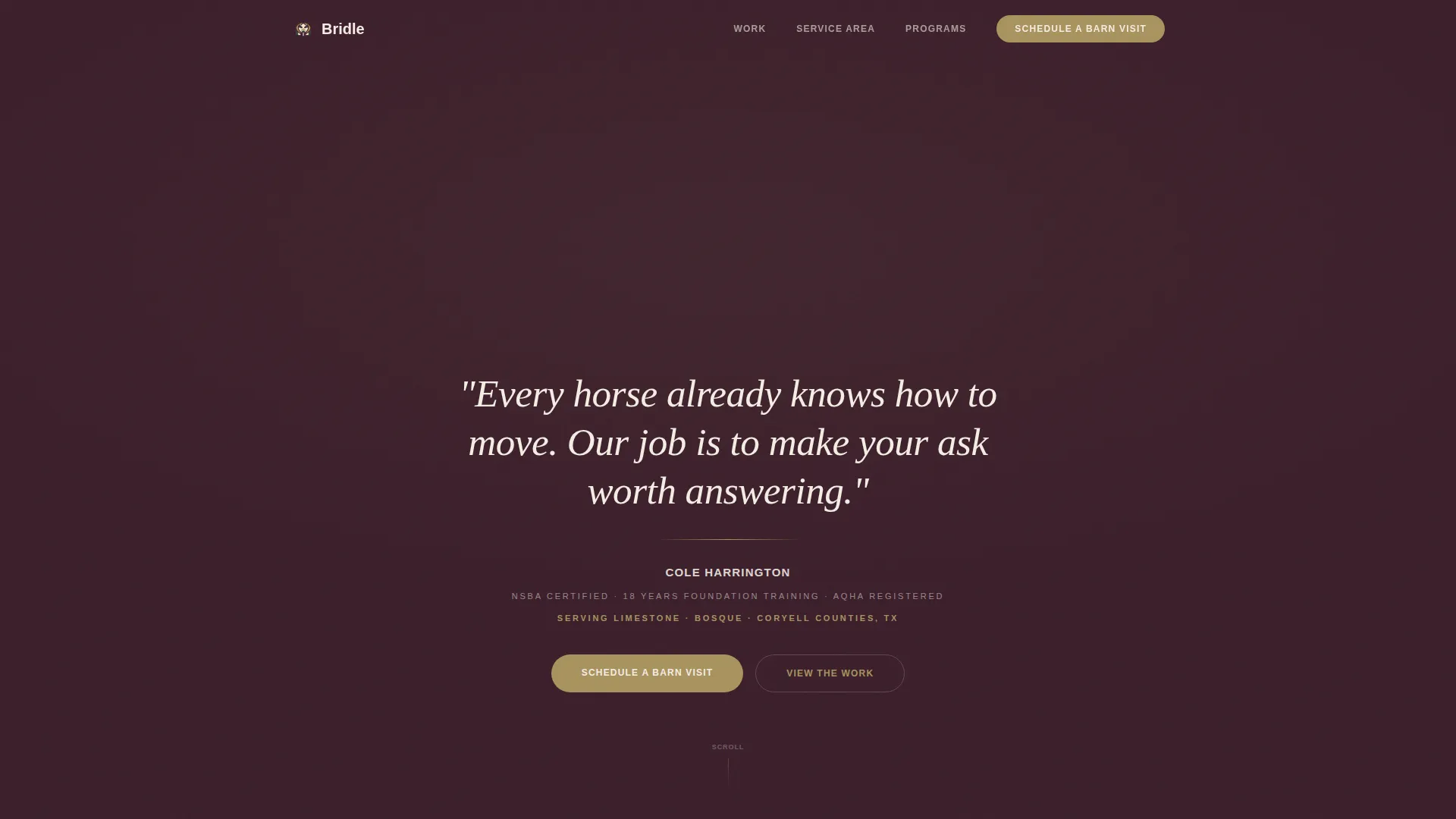 Horse Trainer Service Area Landing Page Template