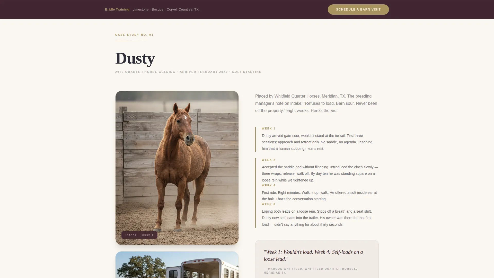 Horse Trainer Service Area Landing Page Template