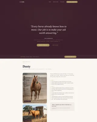 Horse Trainer Service Area Landing Page Template