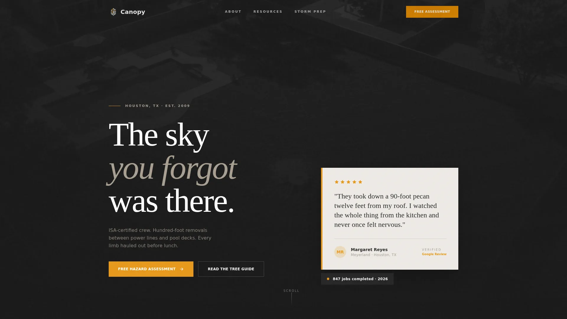 Licensed Tree Removal | Free Website Template | Rocket