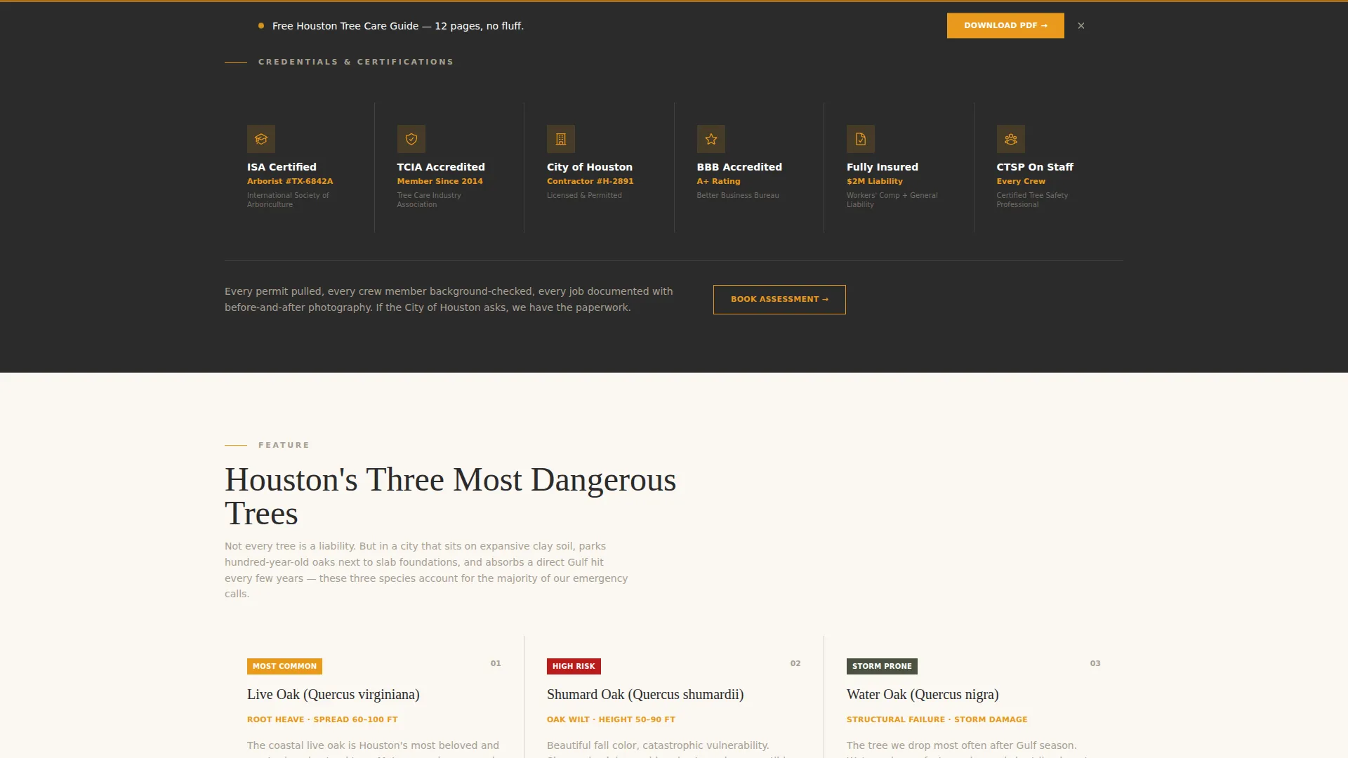 Licensed Tree Removal | Free Website Template | Rocket