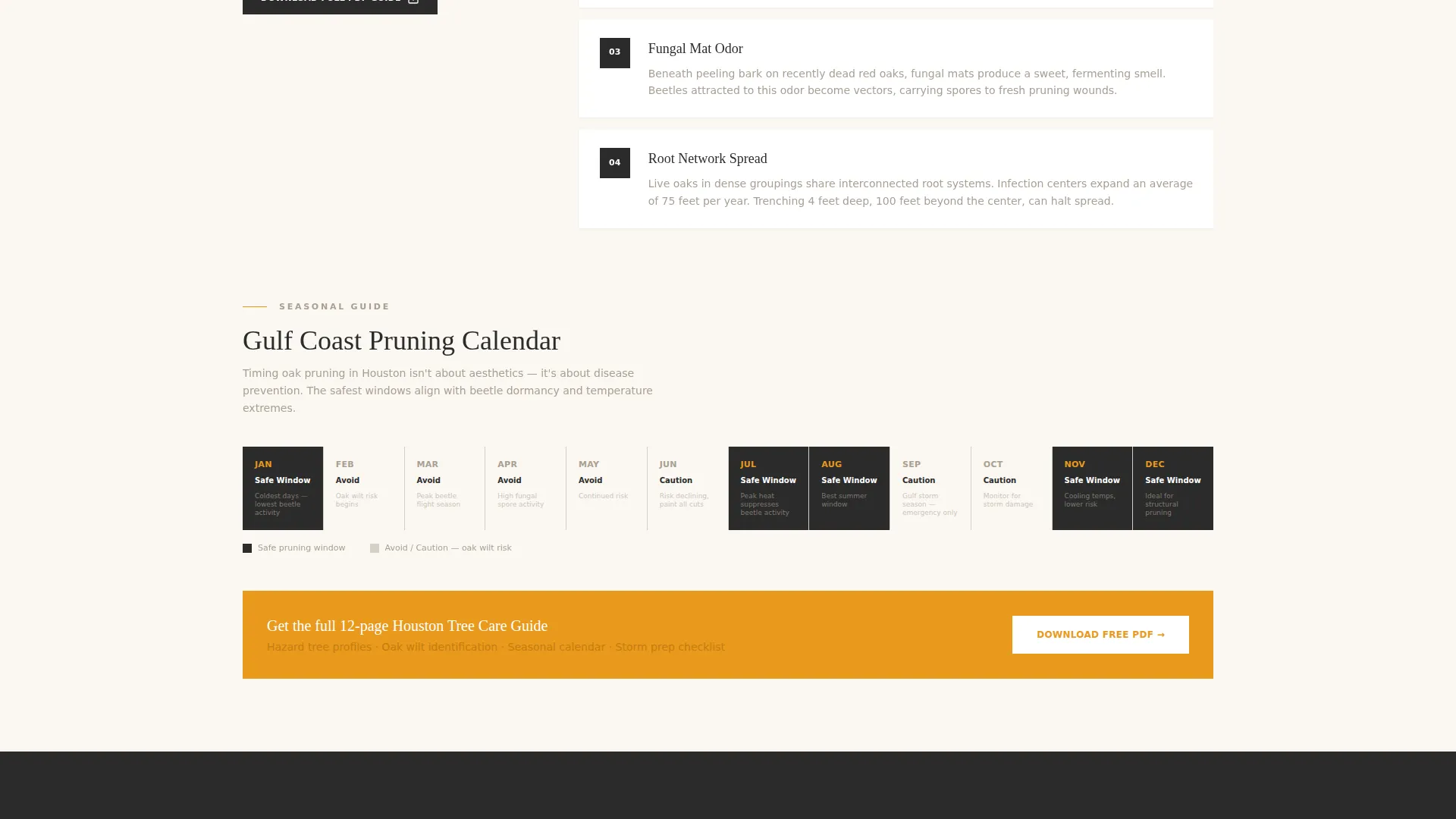 Licensed Tree Removal | Free Website Template | Rocket