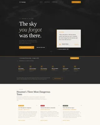 Licensed Tree Removal | Free Website Template | Rocket