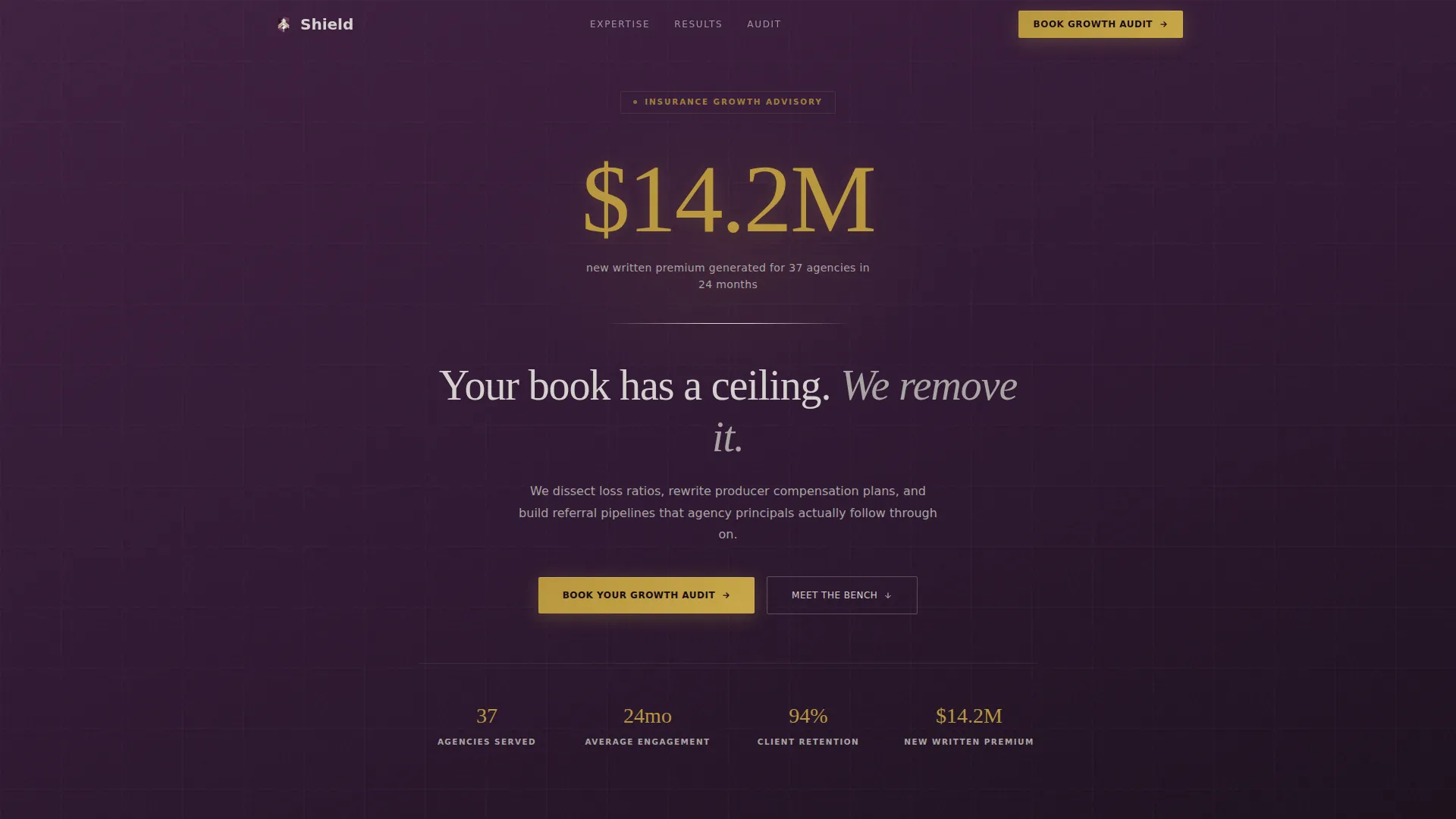 Insurance Growth Consultant Landing Page Template