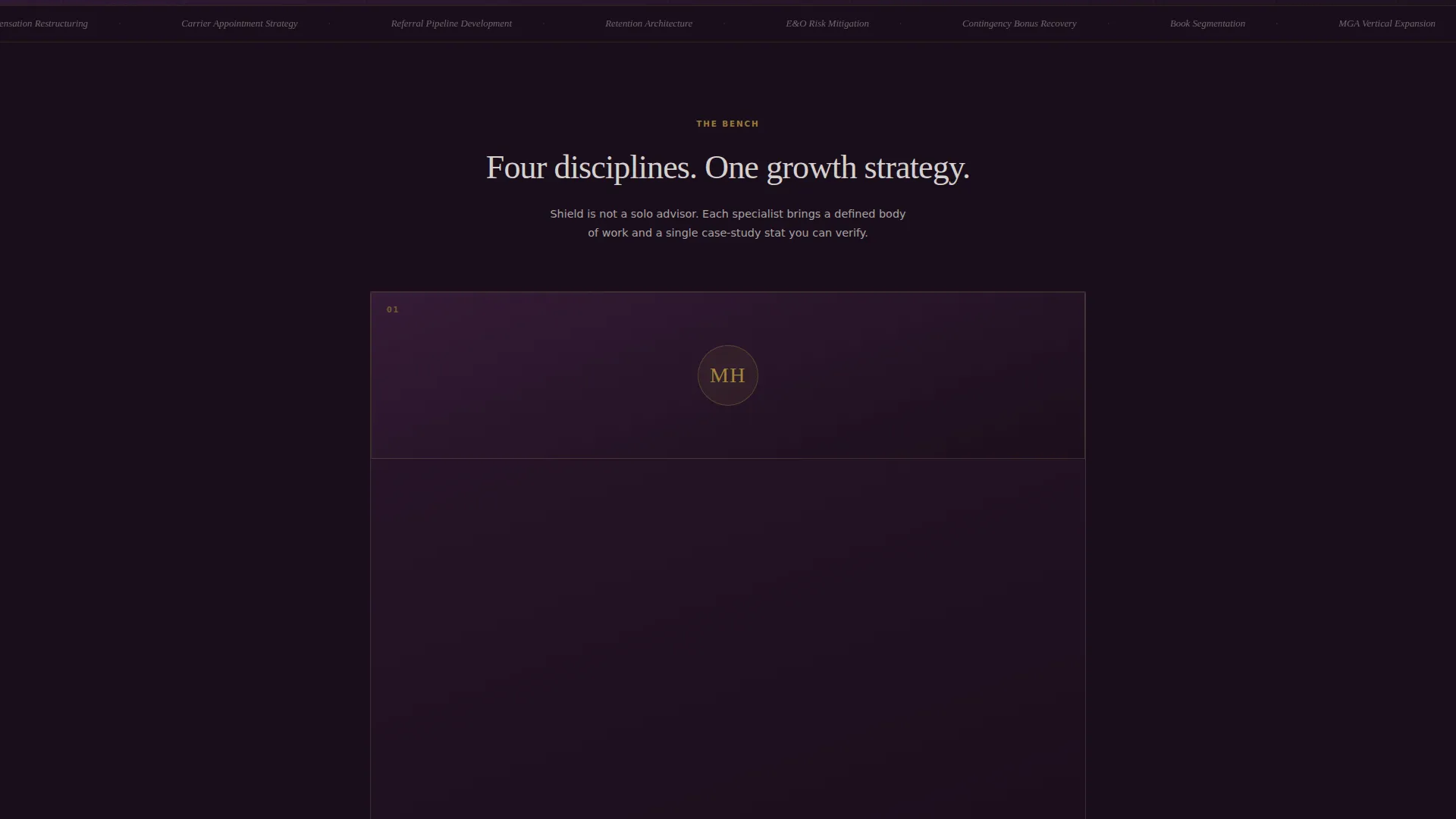 Insurance Growth Consultant Landing Page Template