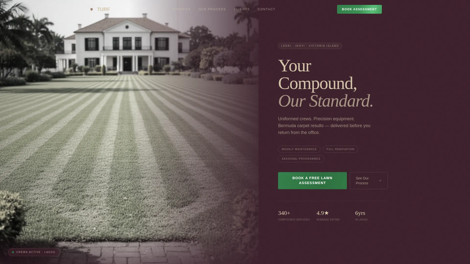 Expert Lactation | Free Website Template | Rocket