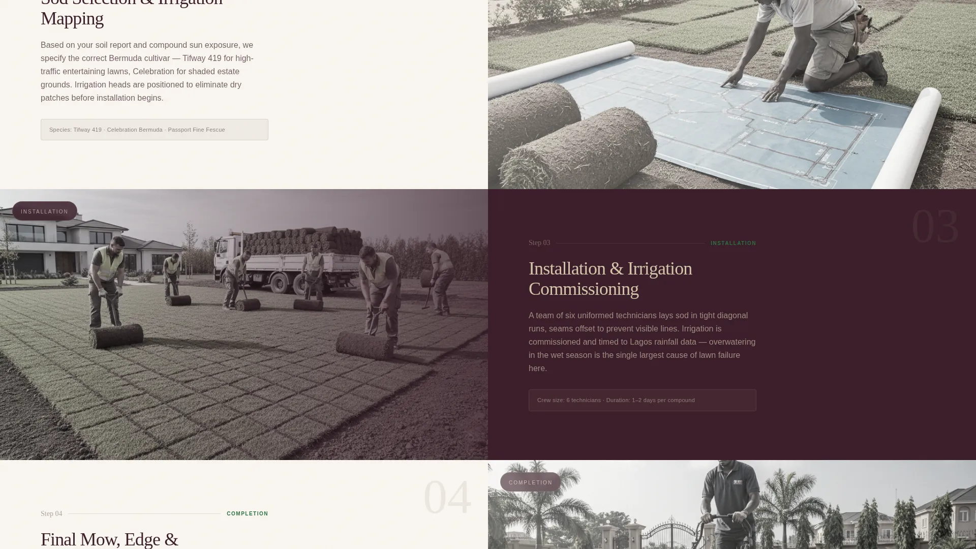Expert Lactation | Free Website Template | Rocket