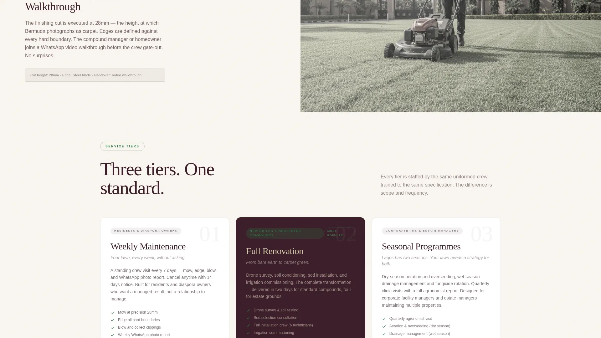 Expert Lactation | Free Website Template | Rocket