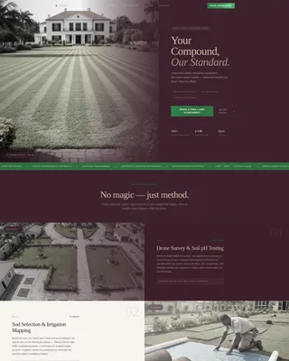 Expert Lactation | Free Website Template | Rocket