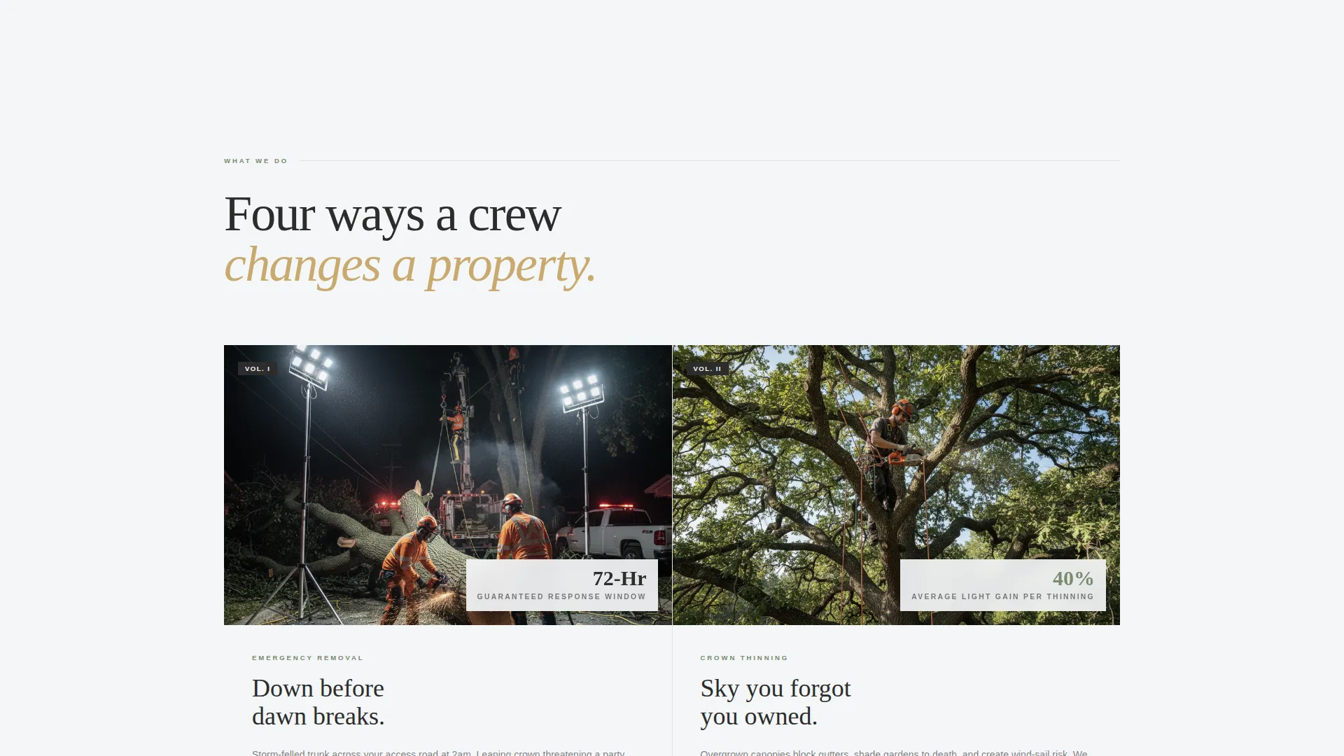 Editorial Treeservice | Free Website Template | Rocket