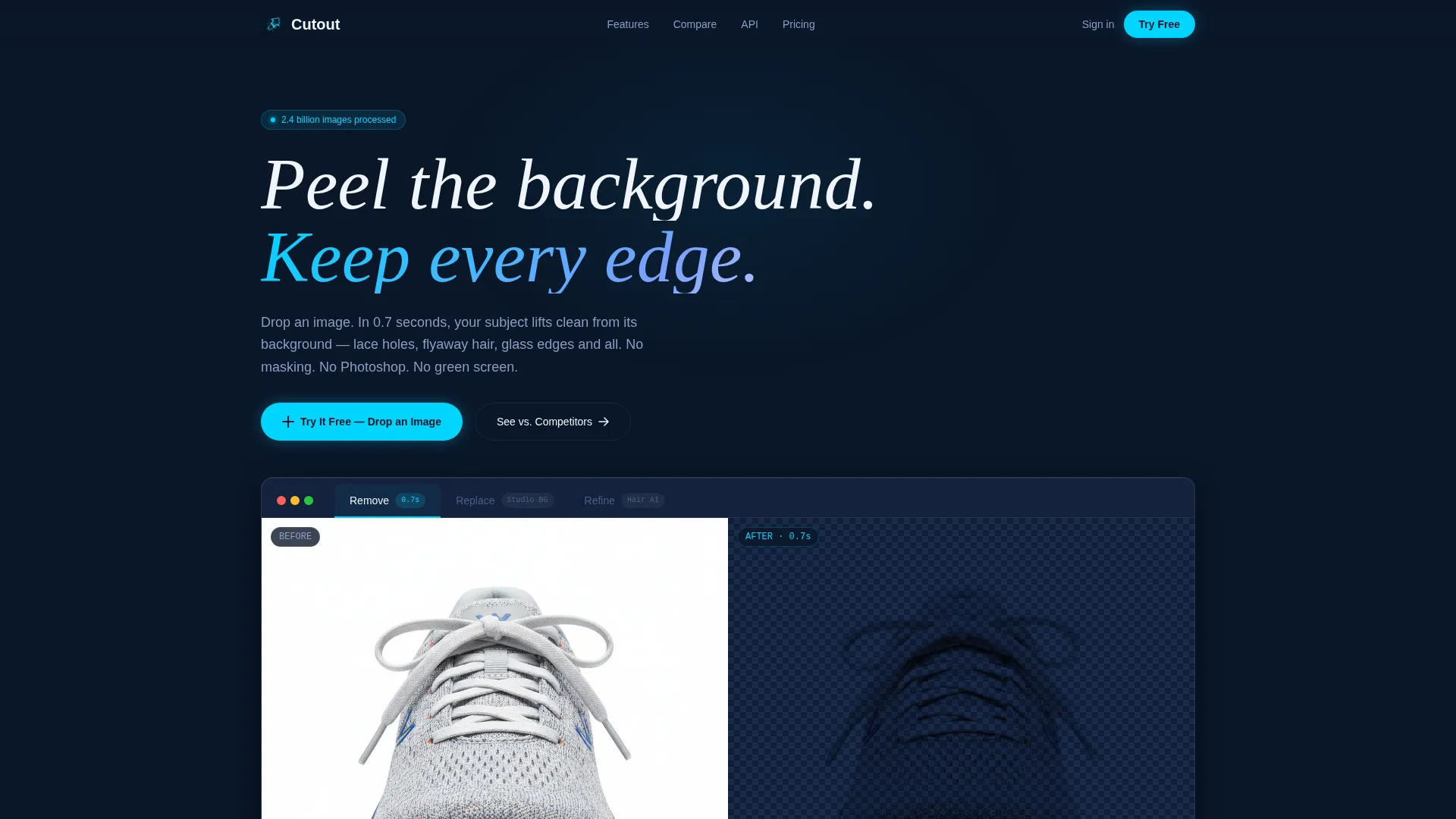 Micro-SaaS & Developer Tools Professional Website Template