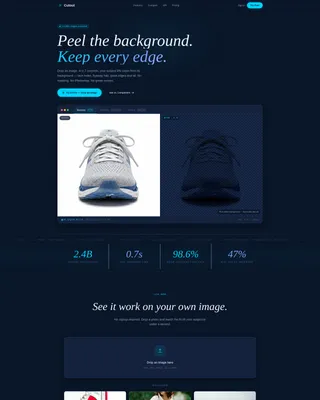 Micro-SaaS & Developer Tools Professional Website Template