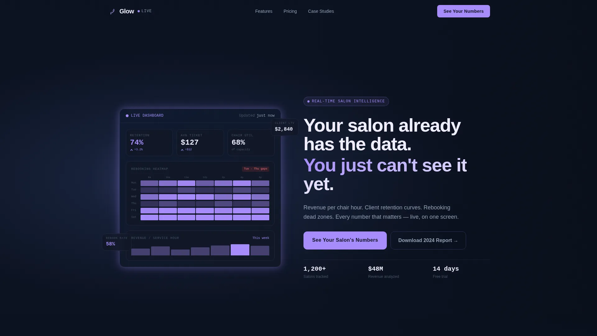 Beauty & Salon Software & SaaS Professional Website Template