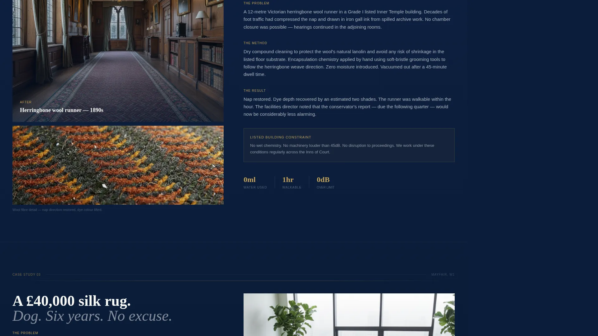 Executive Carpet Cleaning | Free Website Template | Rocket